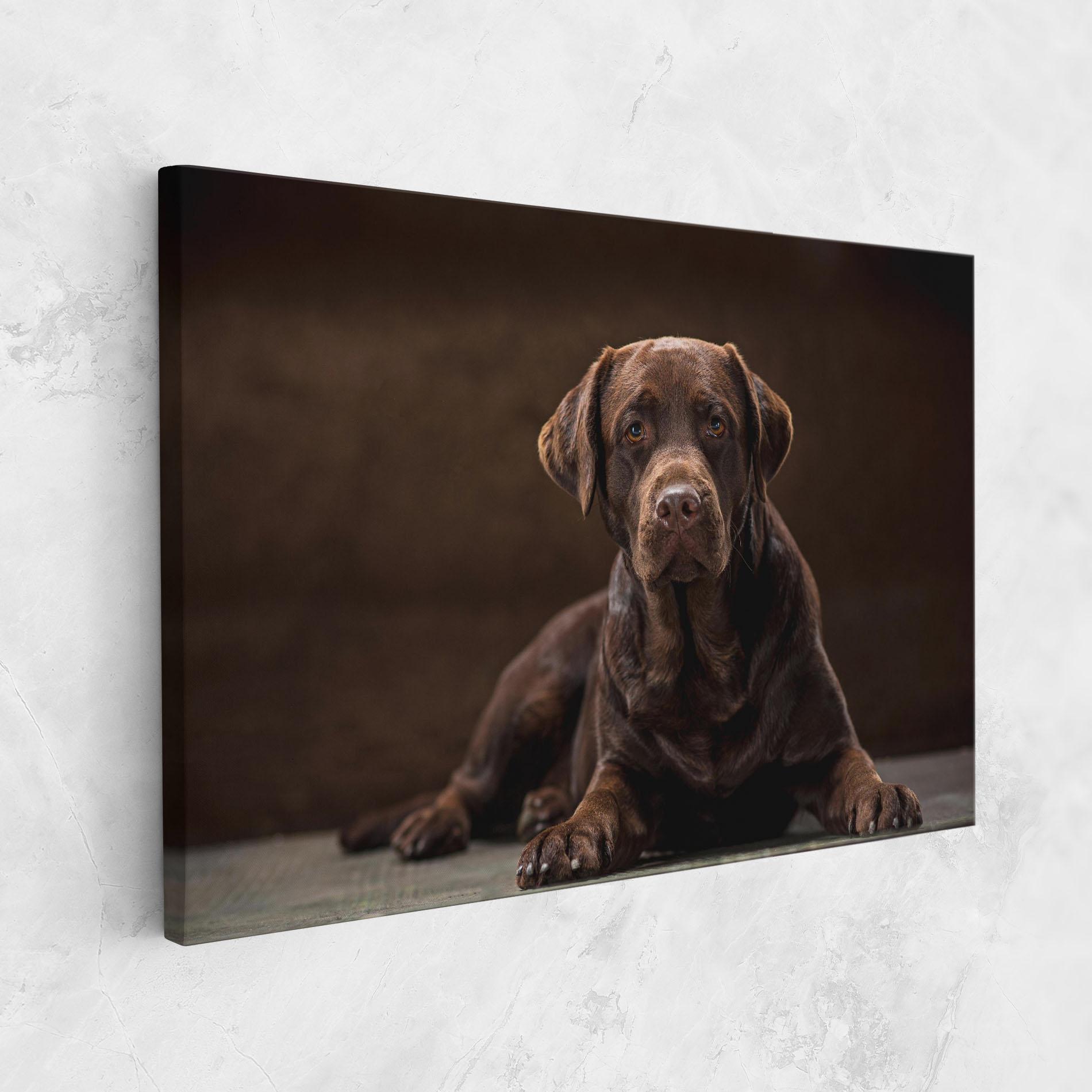 Tablou Canvas Cute Brown Labrador mockup 1