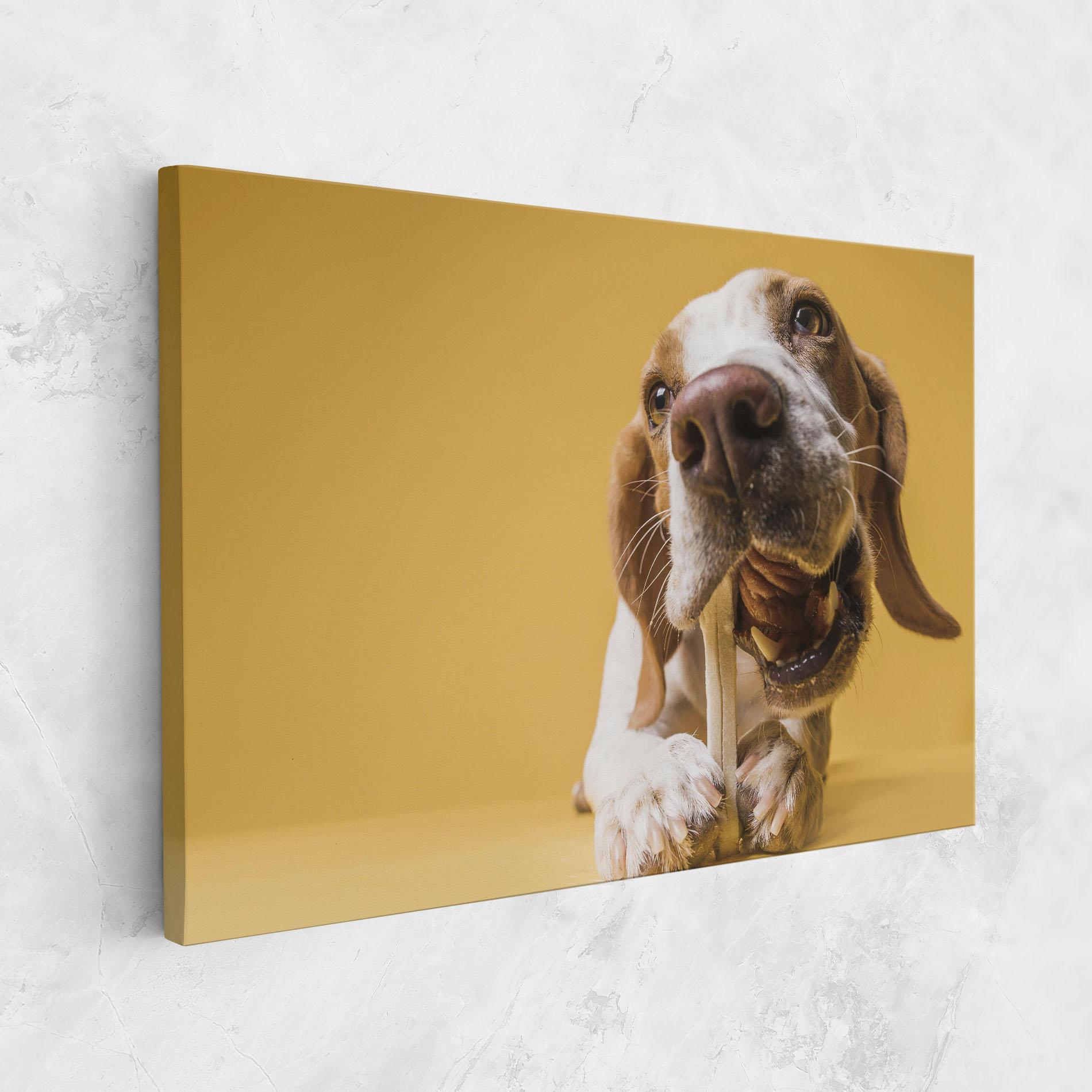 Tablou Canvas Dog Eating Bone mockup 1