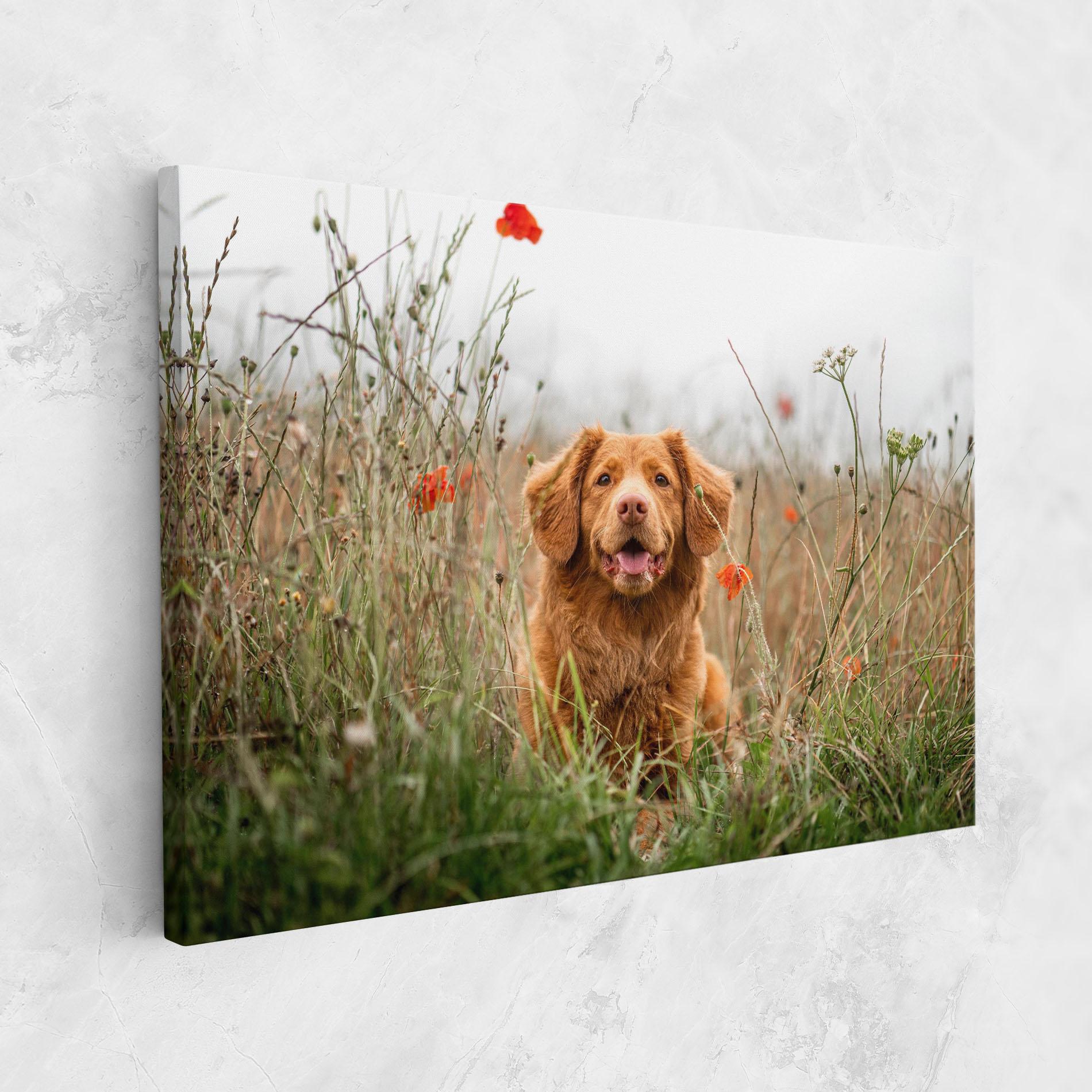 Tablou Canvas Red Flowers Dog mockup 1