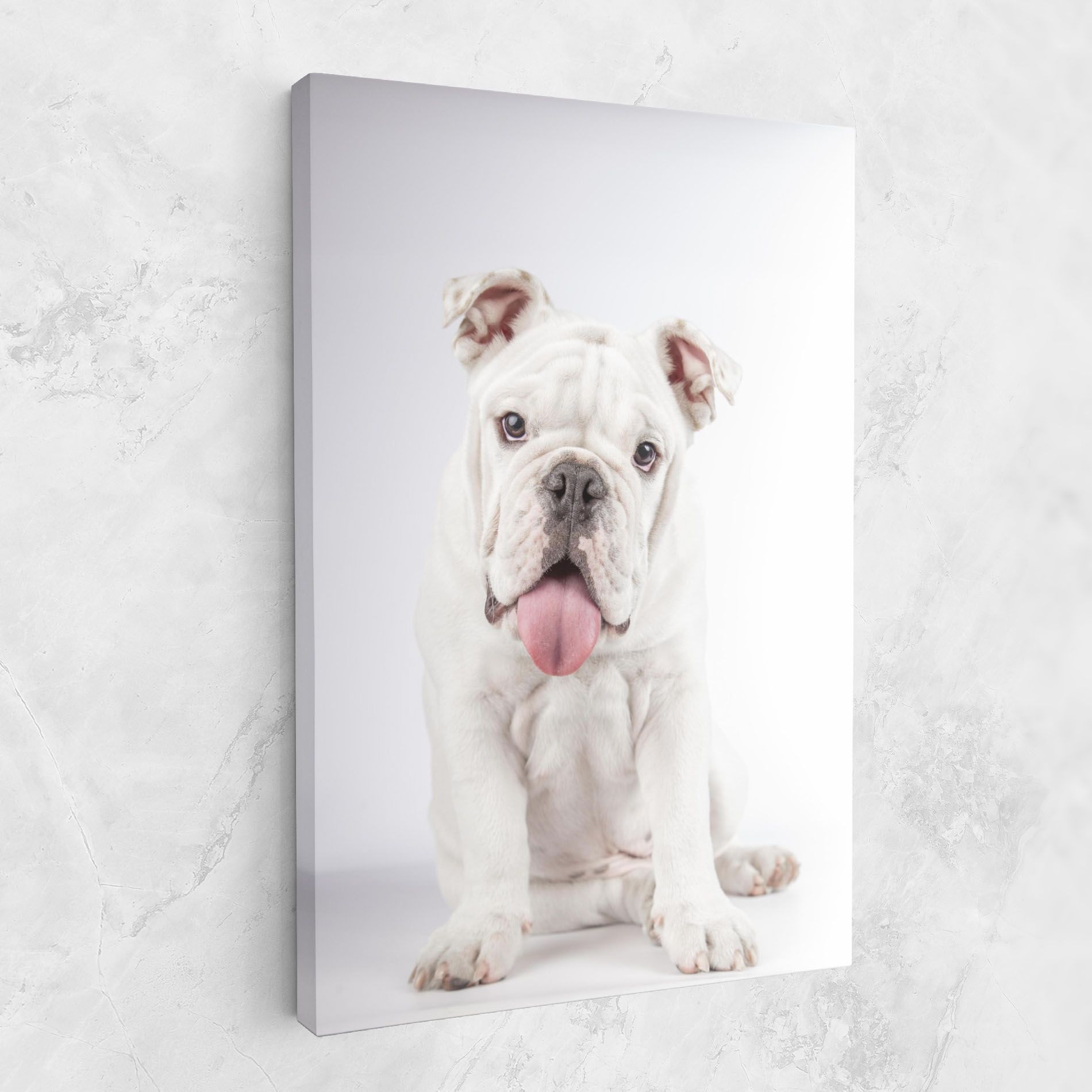 English Bulldog mockup 1