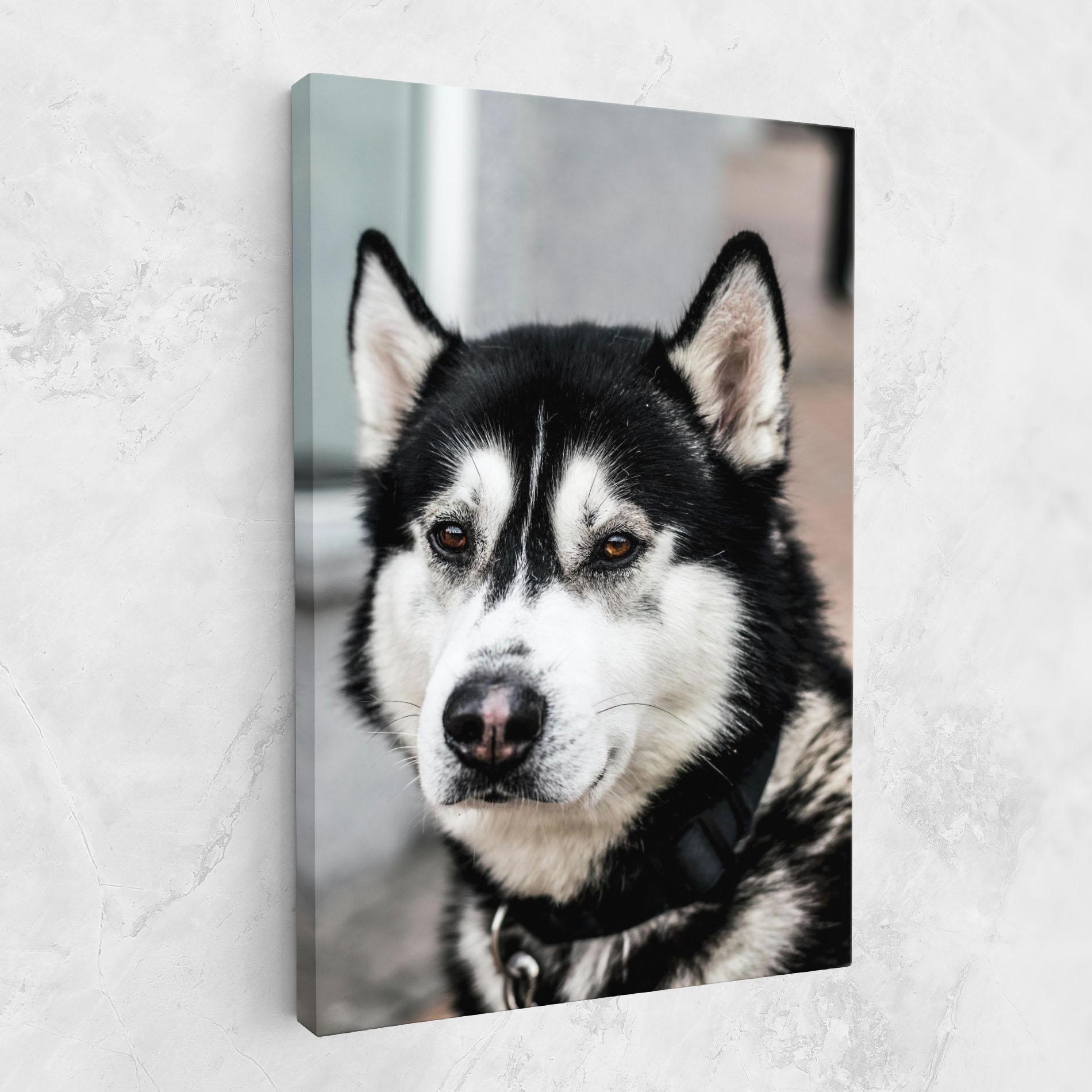 Tablou Canvas Husky Dog mockup 1