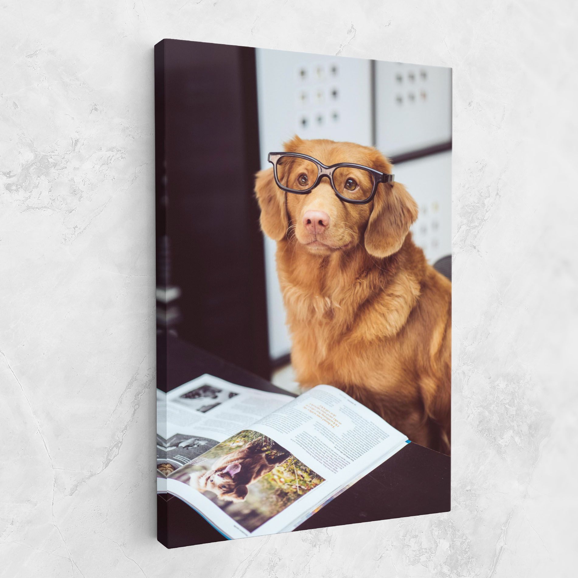 Learning Dog mockup 1
