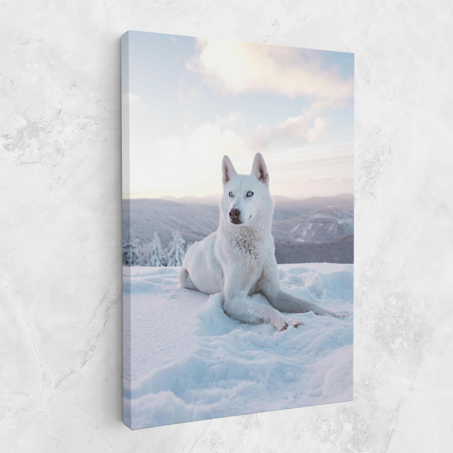 Tablou Canvas White Husky mockup 1