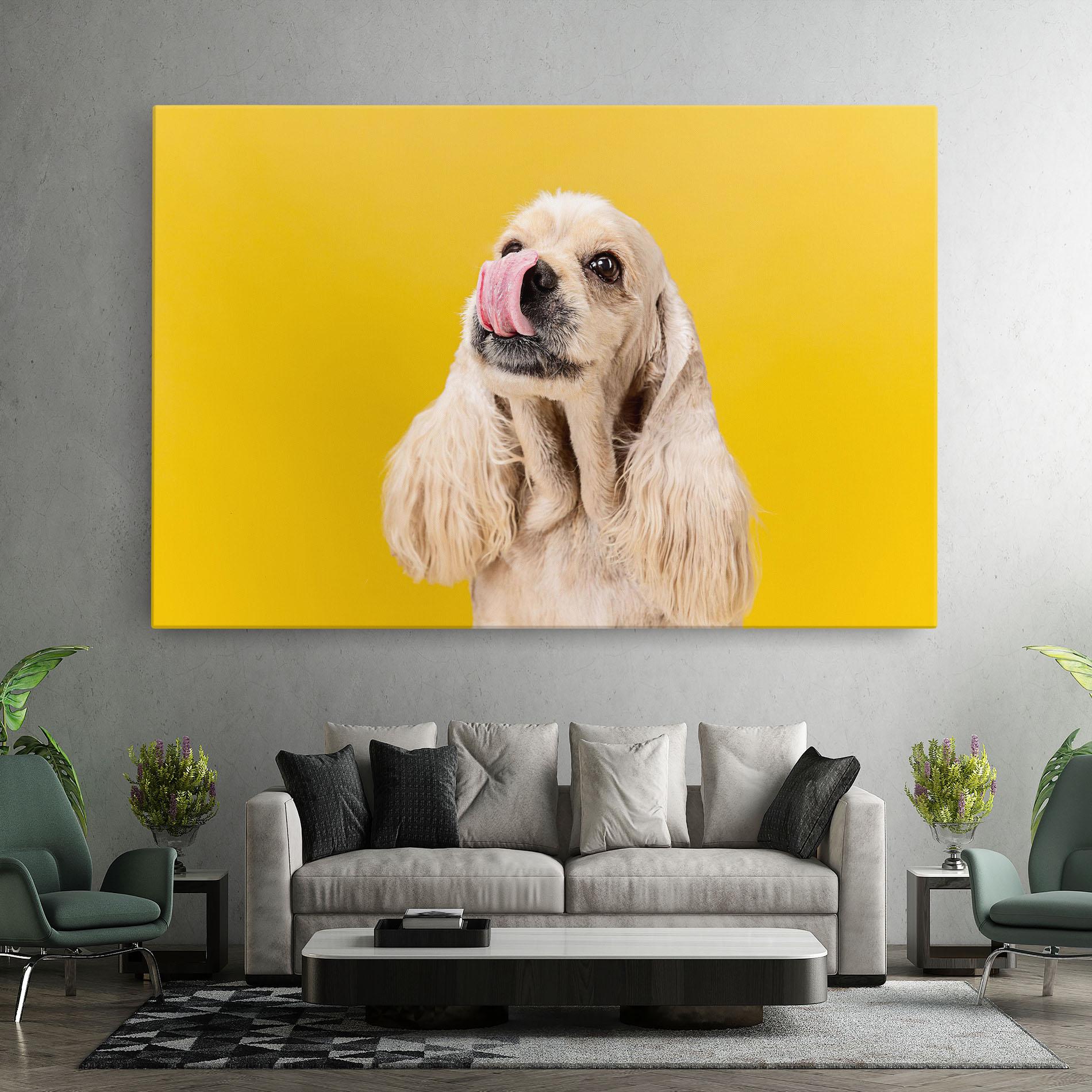 Tablou Canvas American Spaniel mockup 7