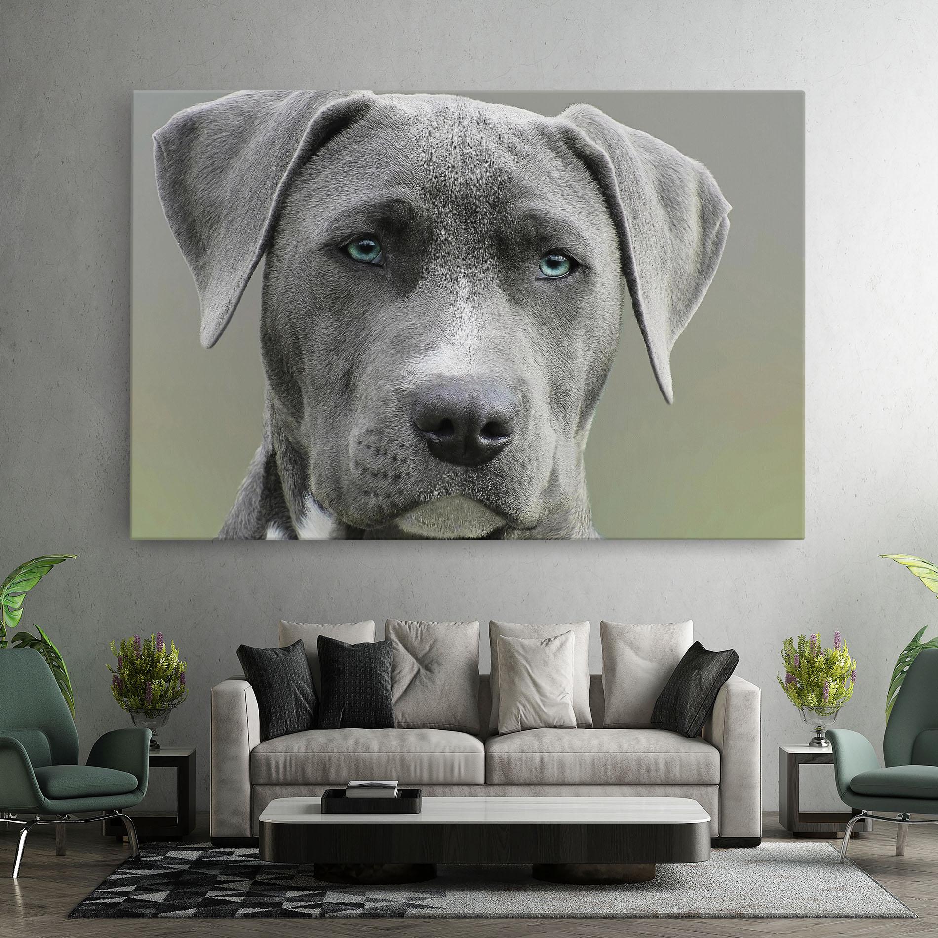 Tablou Canvas Blue Eyes Dog mockup 7
