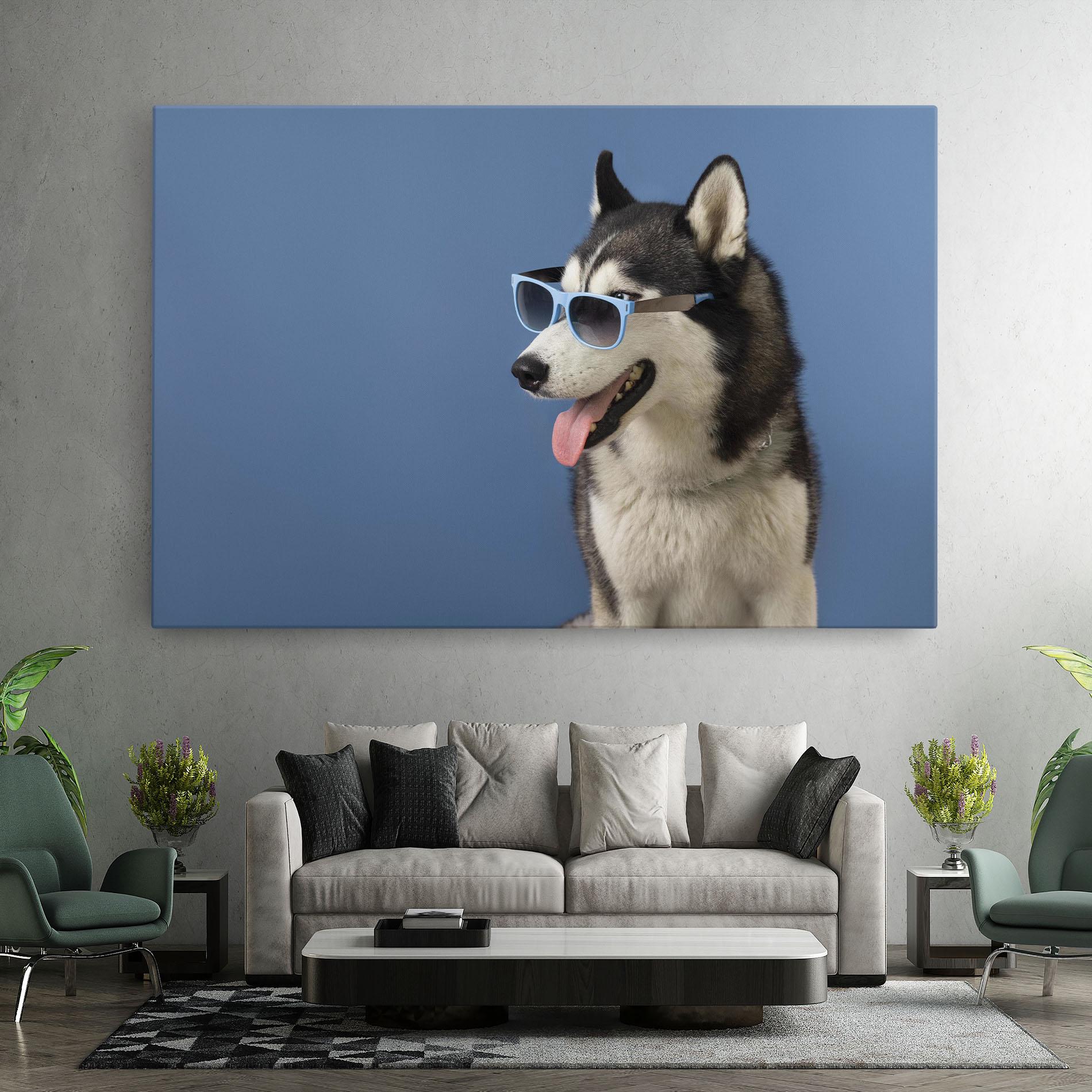 Tablou Canvas Blue Glasses Dog mockup 7