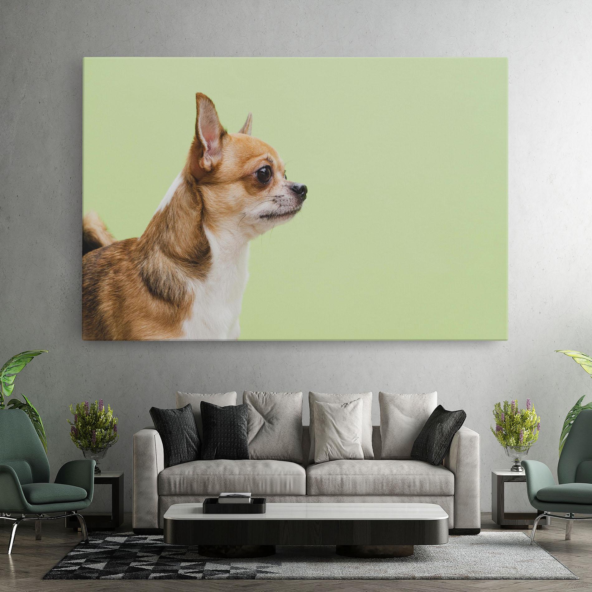 Tablou Canvas Chihuahua Dog mockup 7