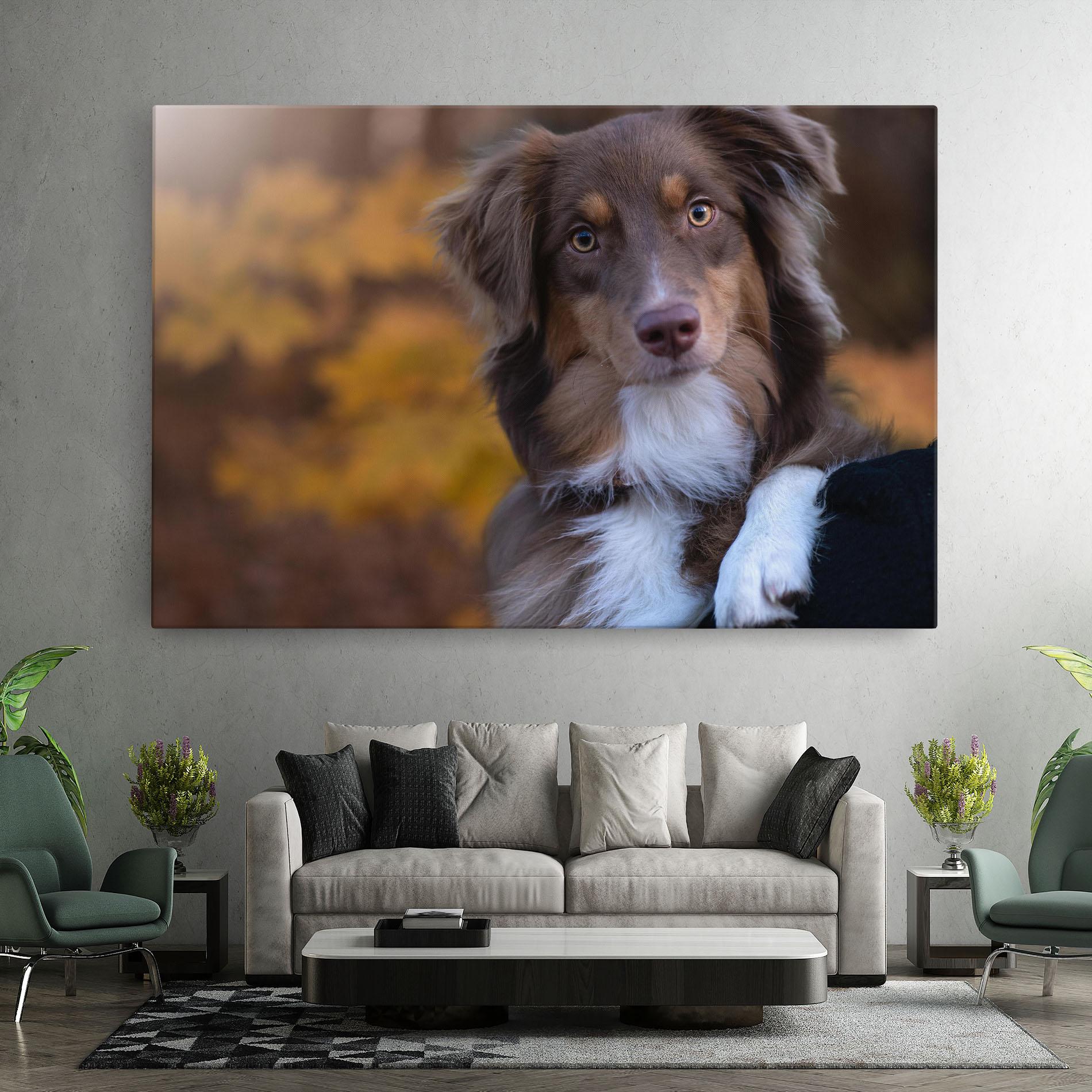 Tablou Canvas Coffee Brown Dog mockup 7