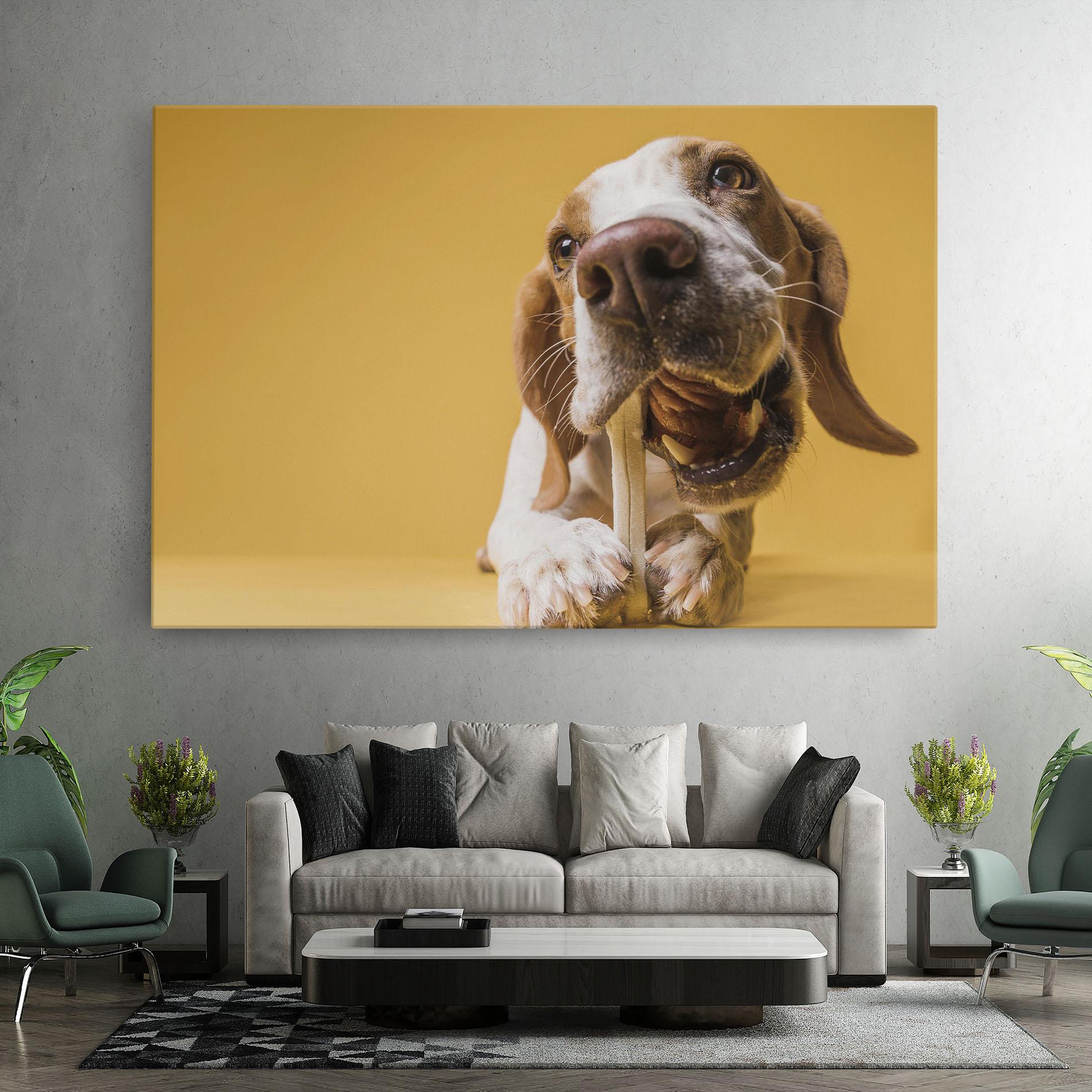 Tablou Canvas Dog Eating Bone mockup 7
