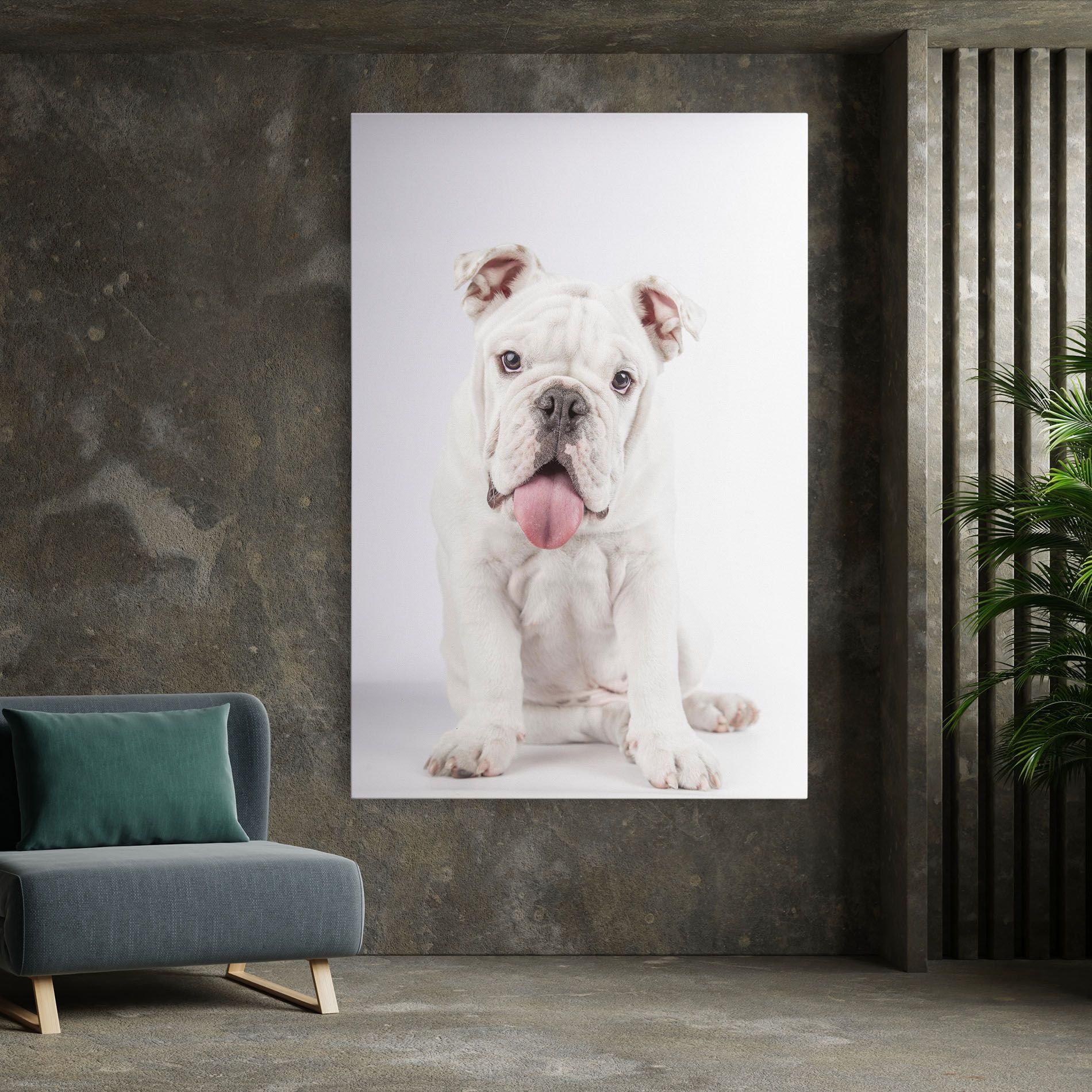 English Bulldog mockup 7