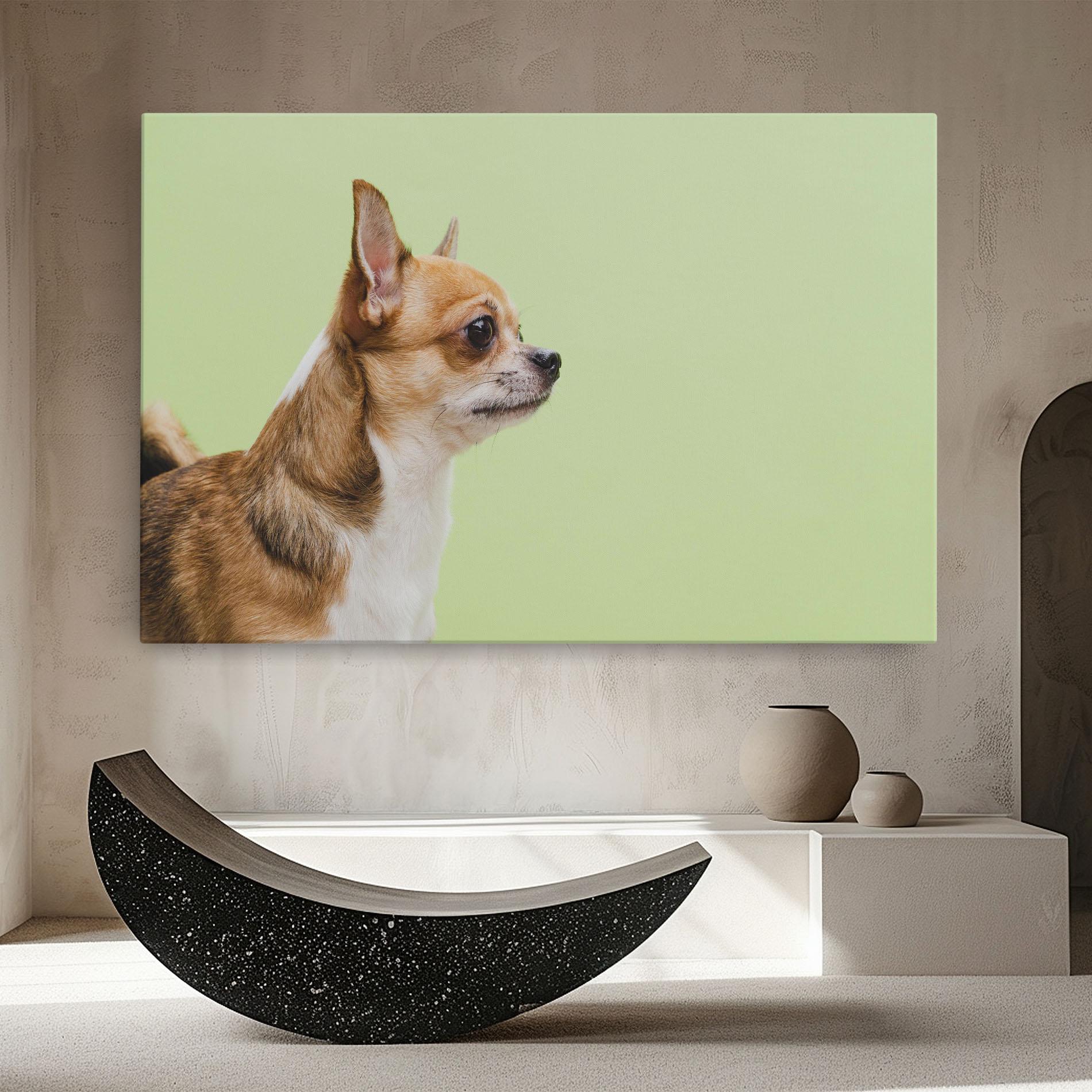 Tablou Canvas Chihuahua Dog mockup 8