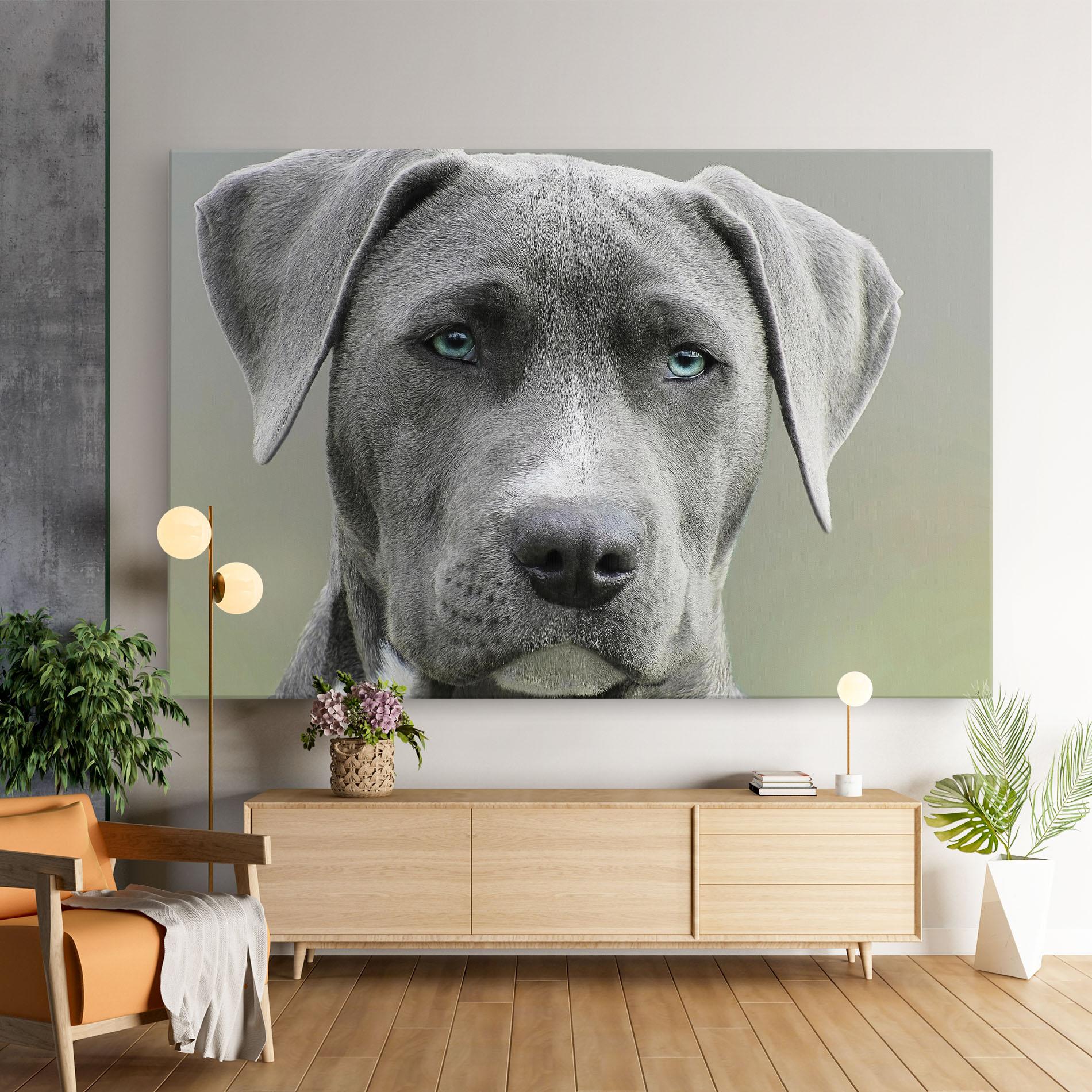 Tablou Canvas Blue Eyes Dog mockup 9