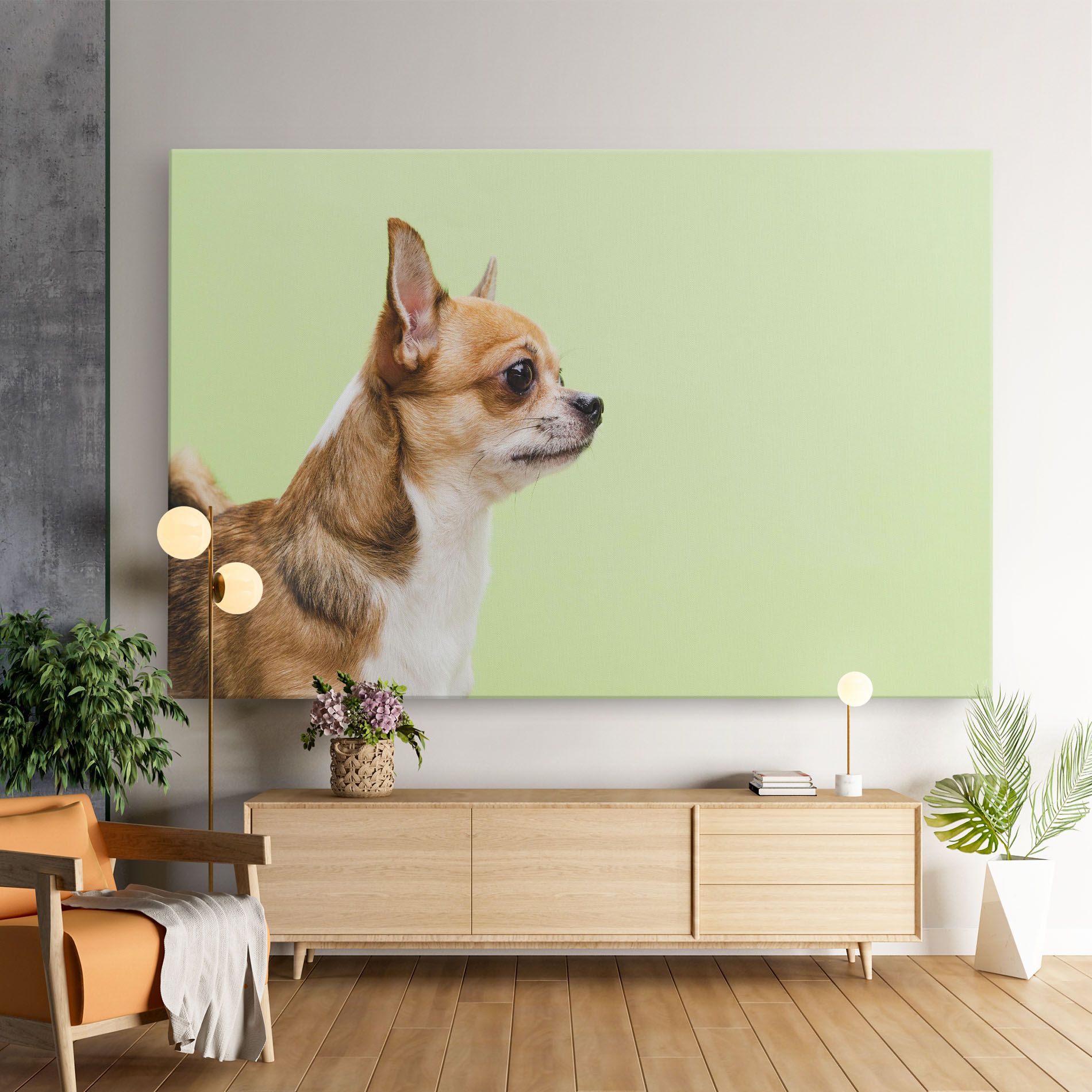 Chihuahua Dog mockup 9