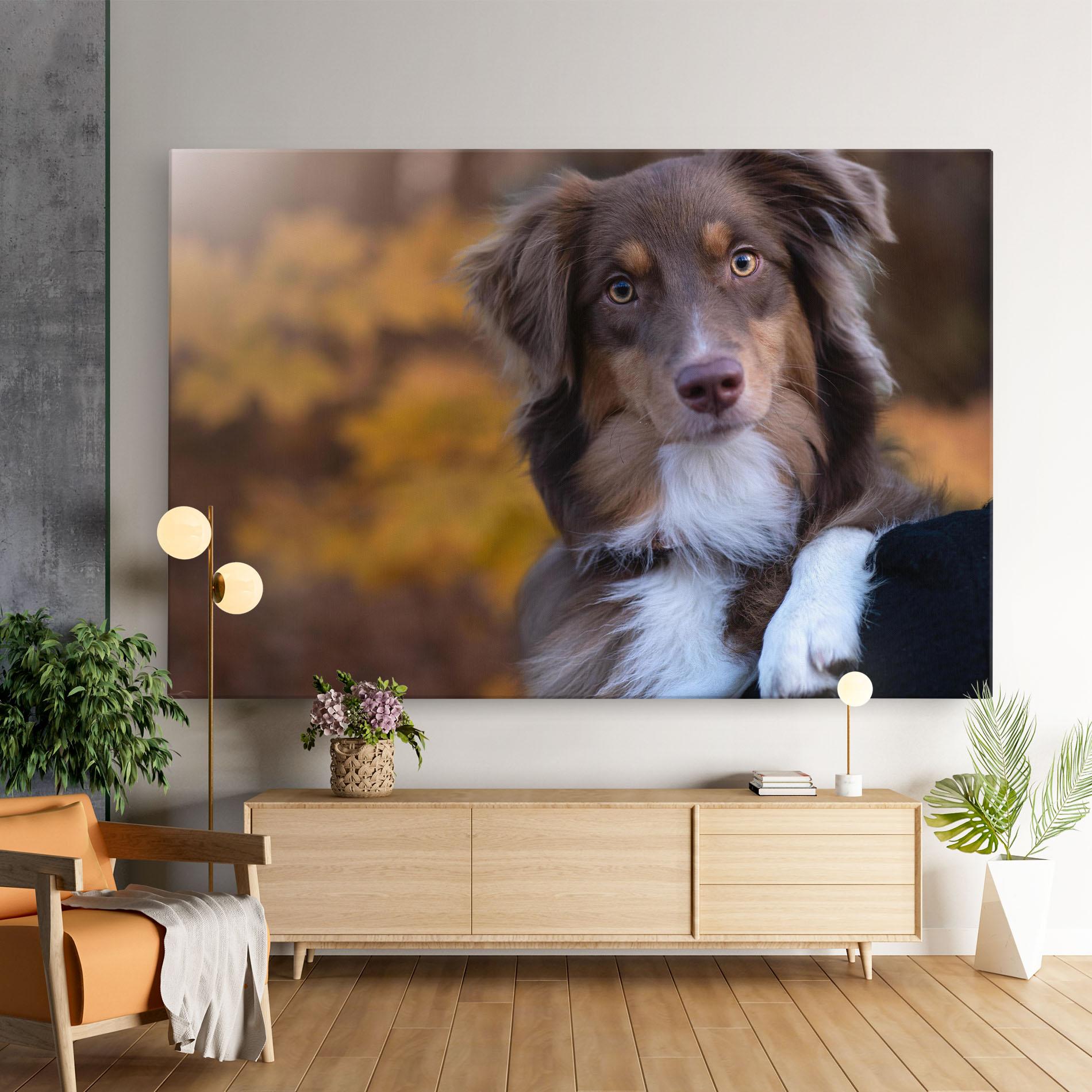 Tablou Canvas Coffee Brown Dog mockup 9