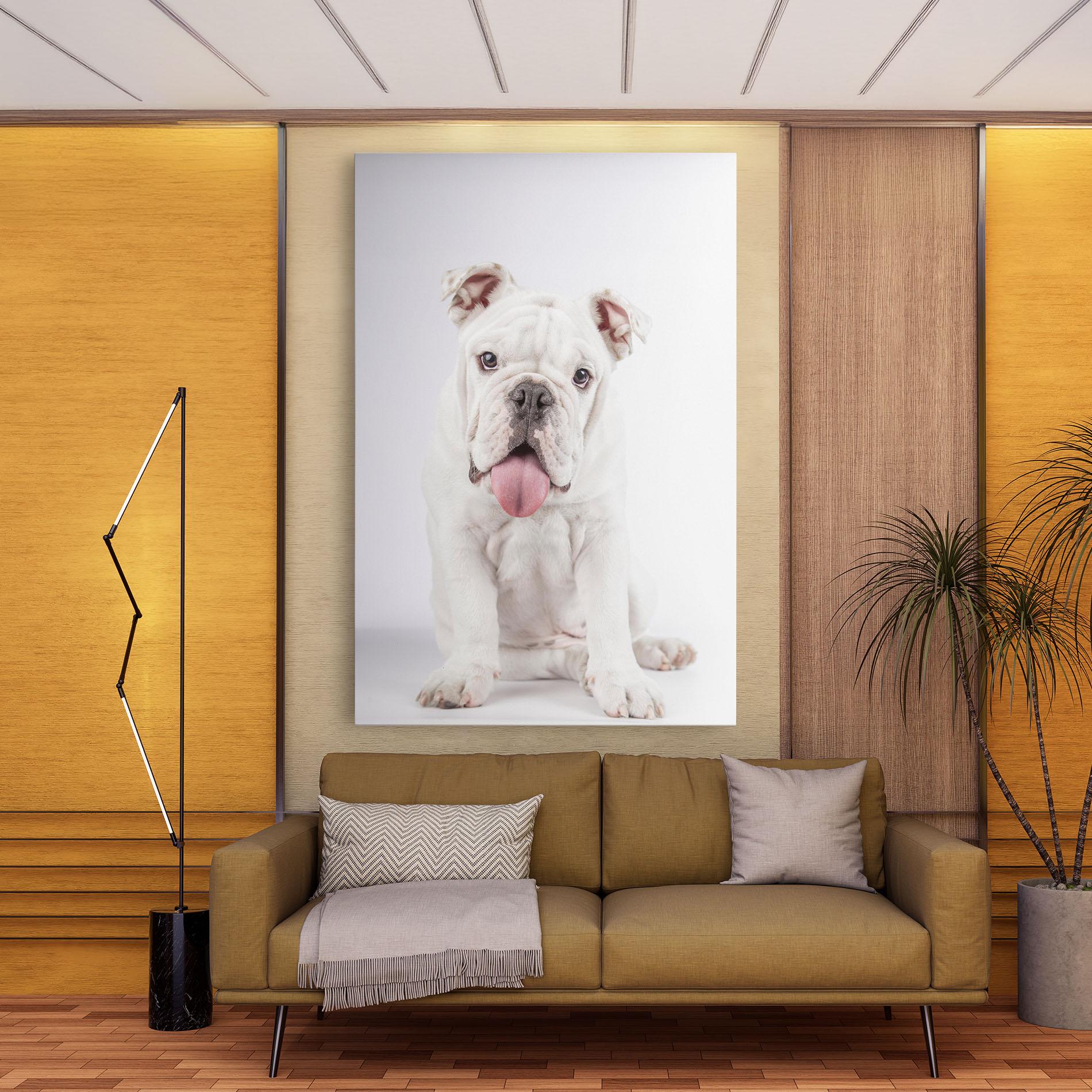 Tablou Canvas English Bulldog mockup 9
