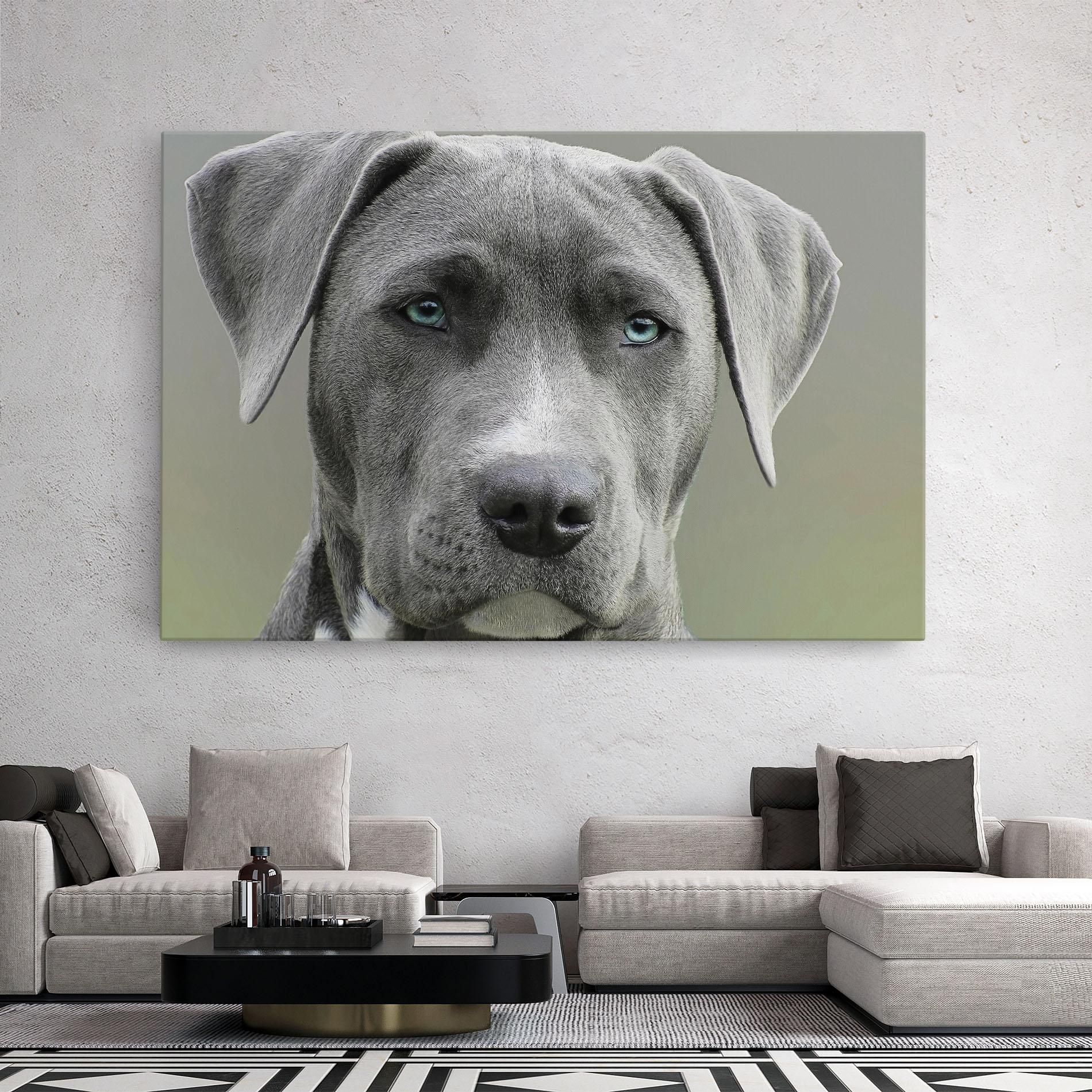 Tablou Canvas Blue Eyes Dog mockup 2