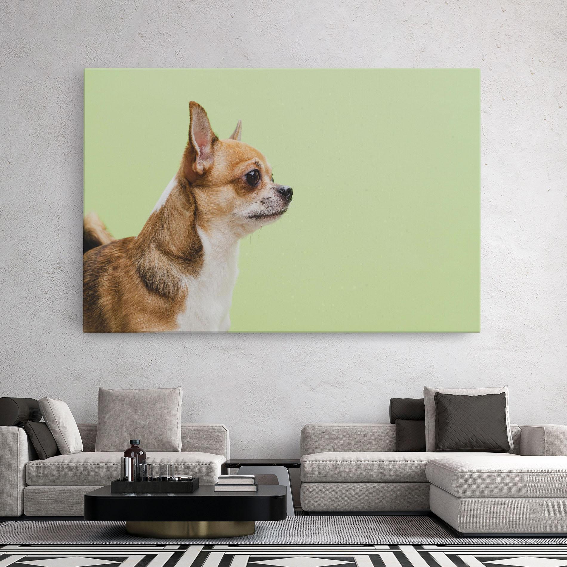 Tablou Canvas Chihuahua Dog mockup 2