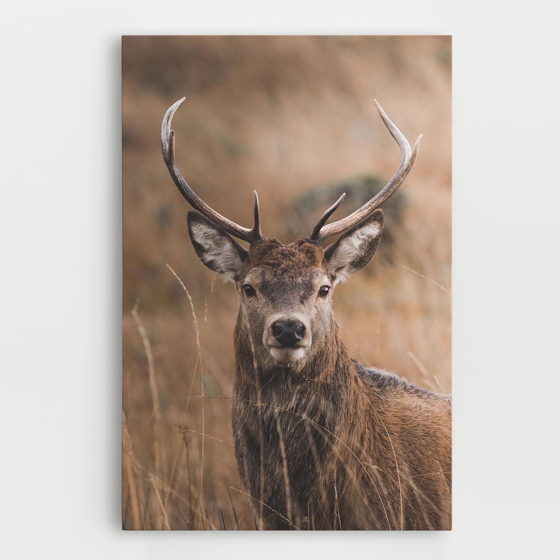 Tablou Canvas Majestic Deer mockup 0