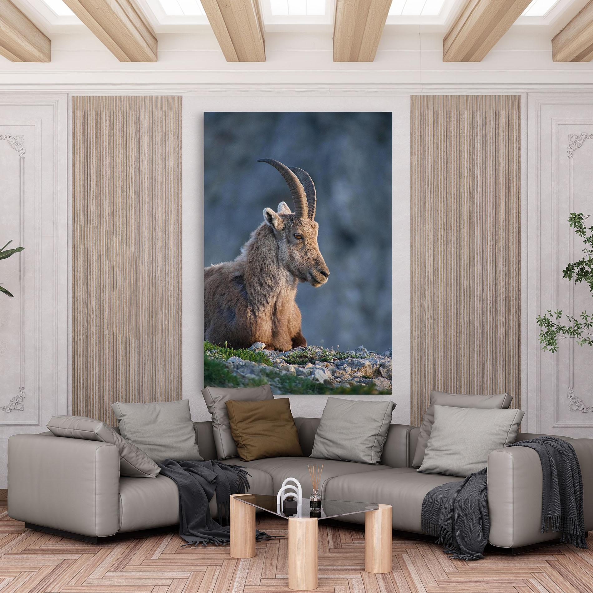 Tablou Canvas Mountain Goat mockup 6