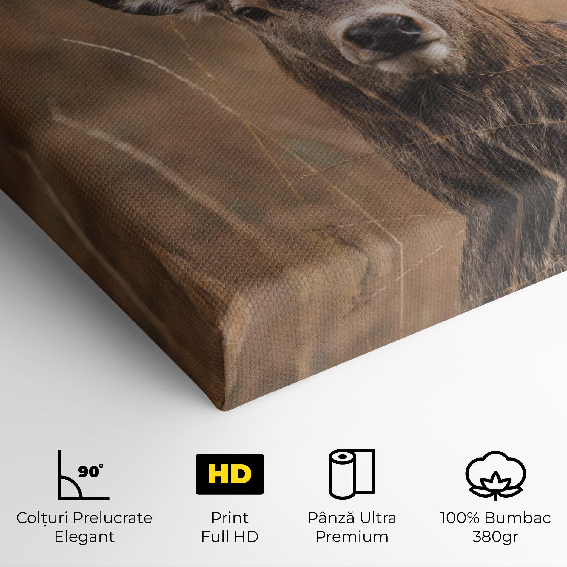 Tablou Canvas Majestic Deer mockup 4