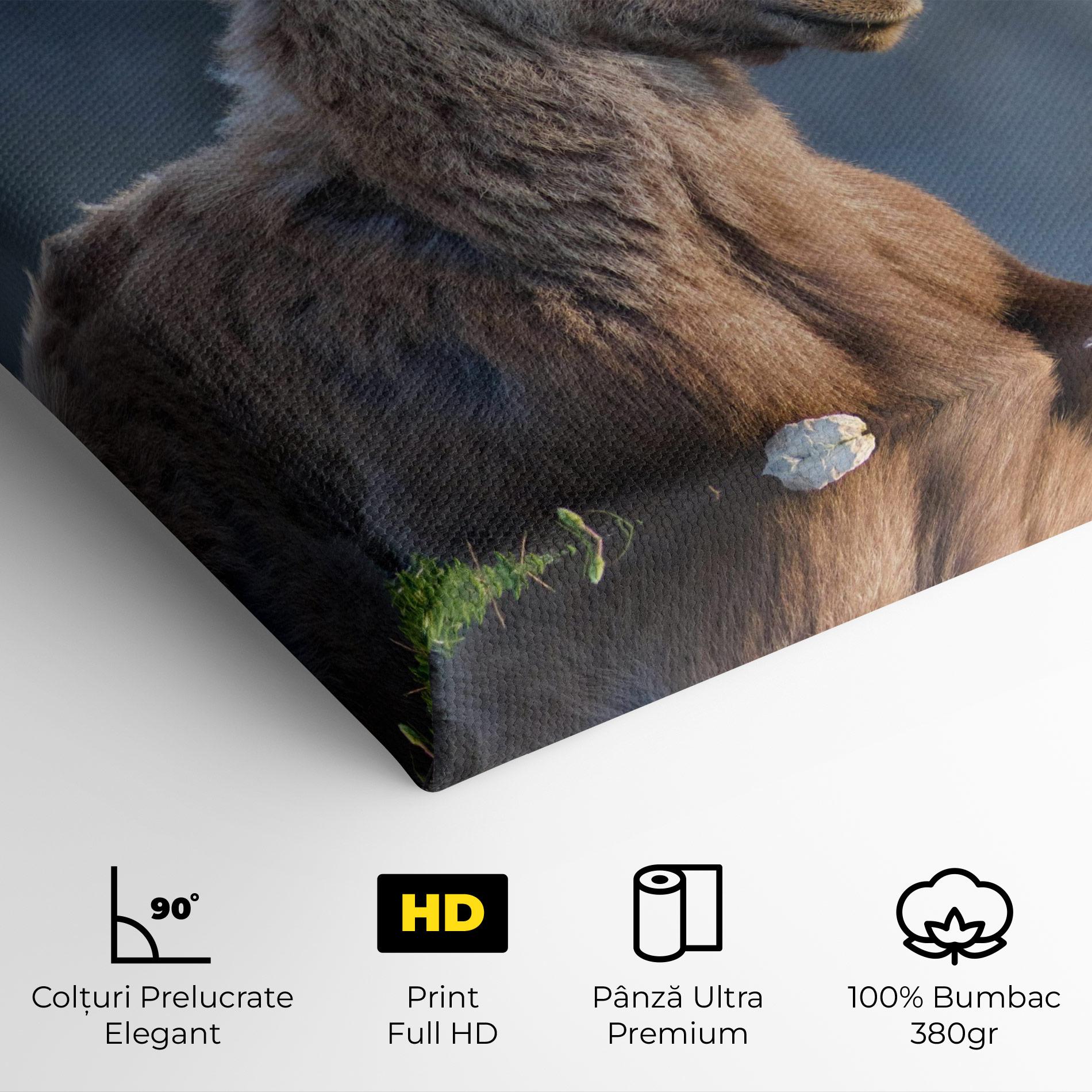 Tablou Canvas Mountain Goat mockup 4