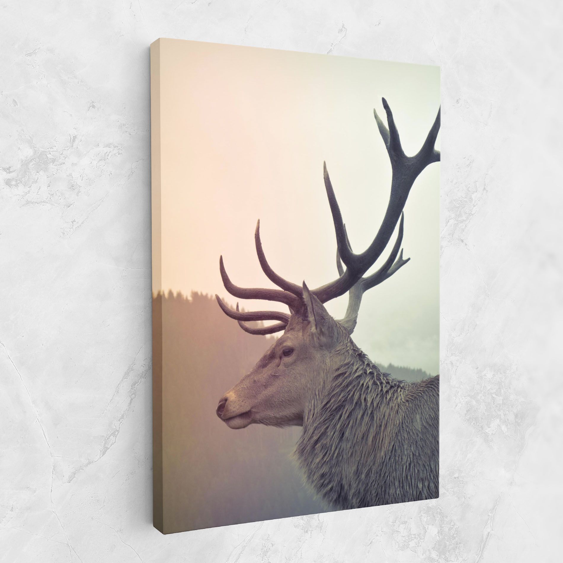 King Of The Forest mockup 1