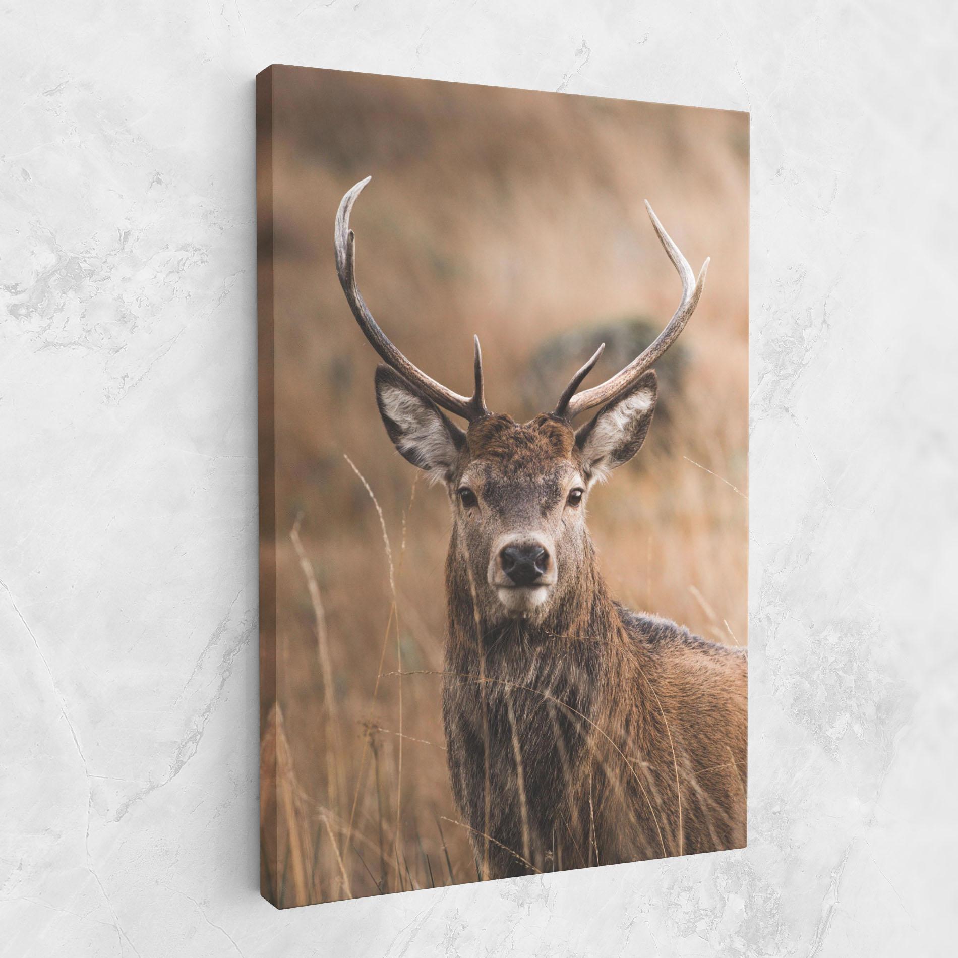 Tablou Canvas Majestic Deer mockup 1