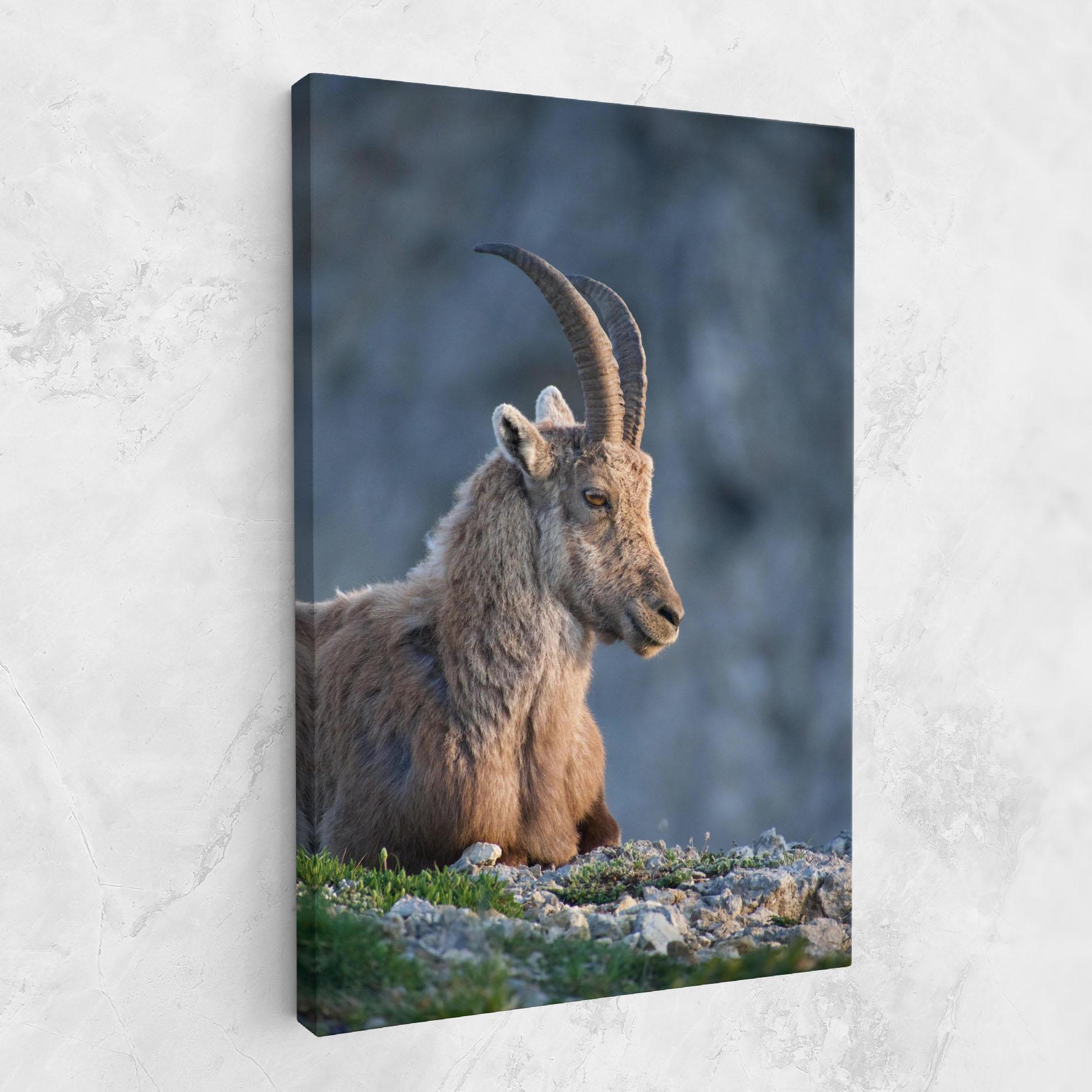 Tablou Canvas Mountain Goat mockup 1