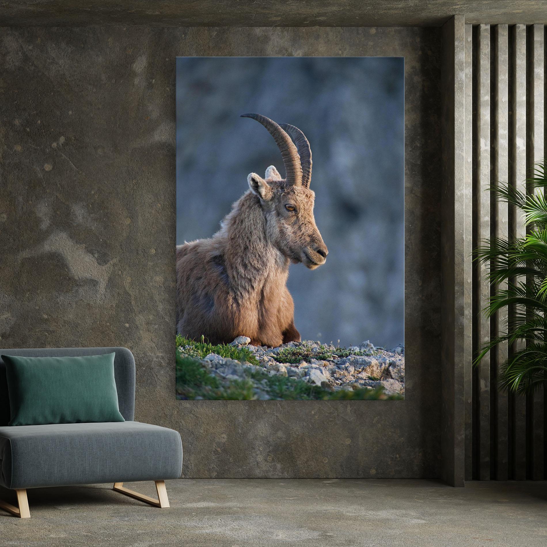 Tablou Canvas Mountain Goat mockup 7
