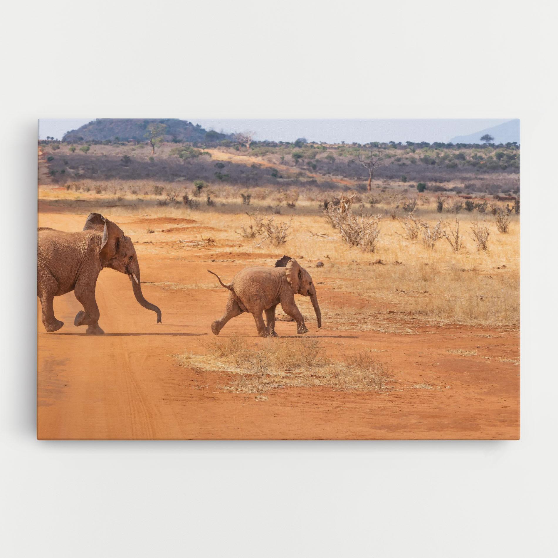 Tablou Canvas Desert Safari mockup 0
