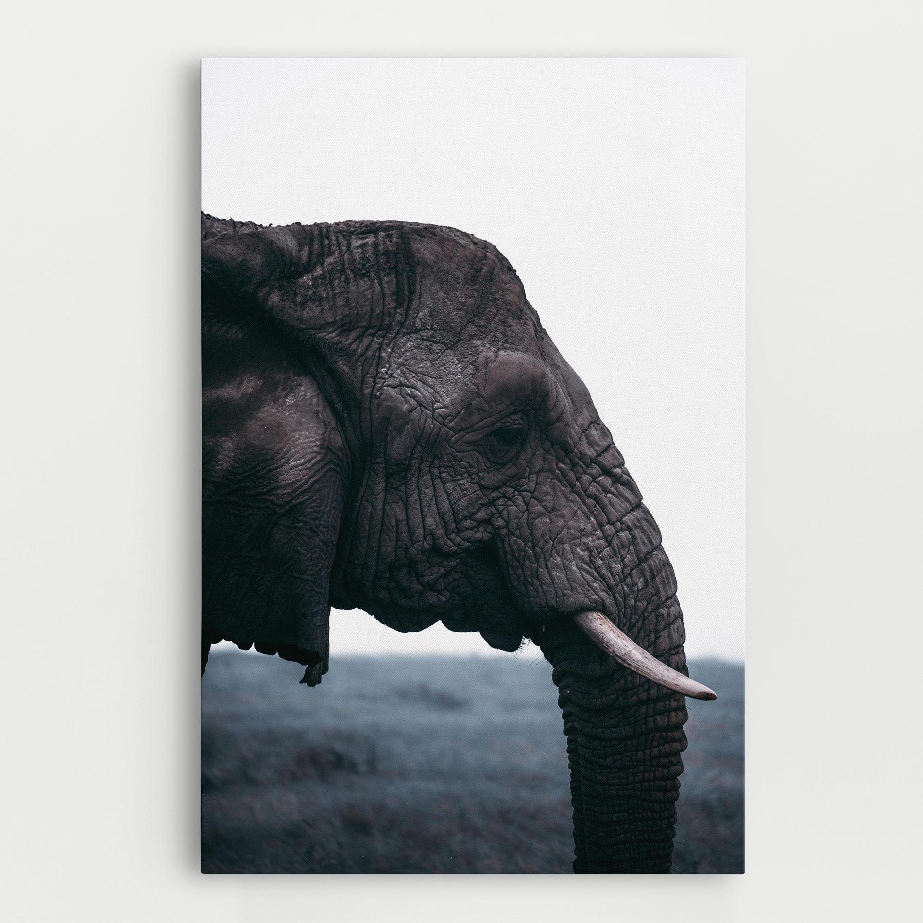 Tablou Canvas Close Grey Eelephant mockup 0