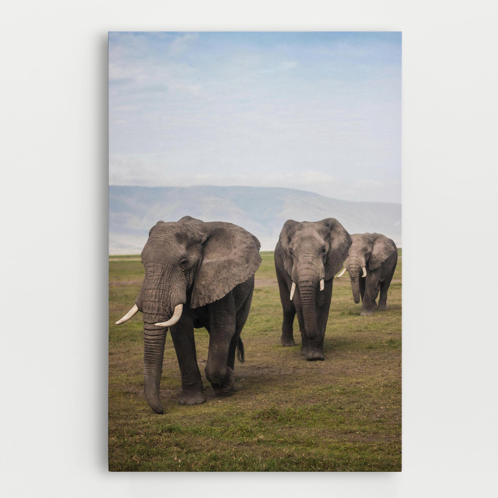 Tablou Canvas Elephant Landscape mockup 0