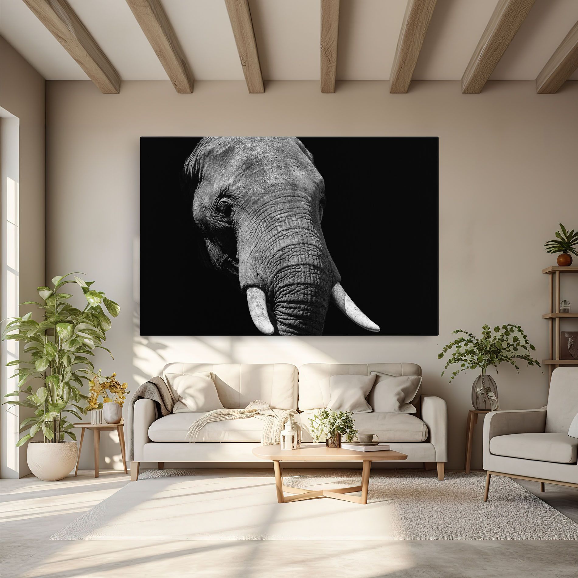 Shadow Elephant mockup 6