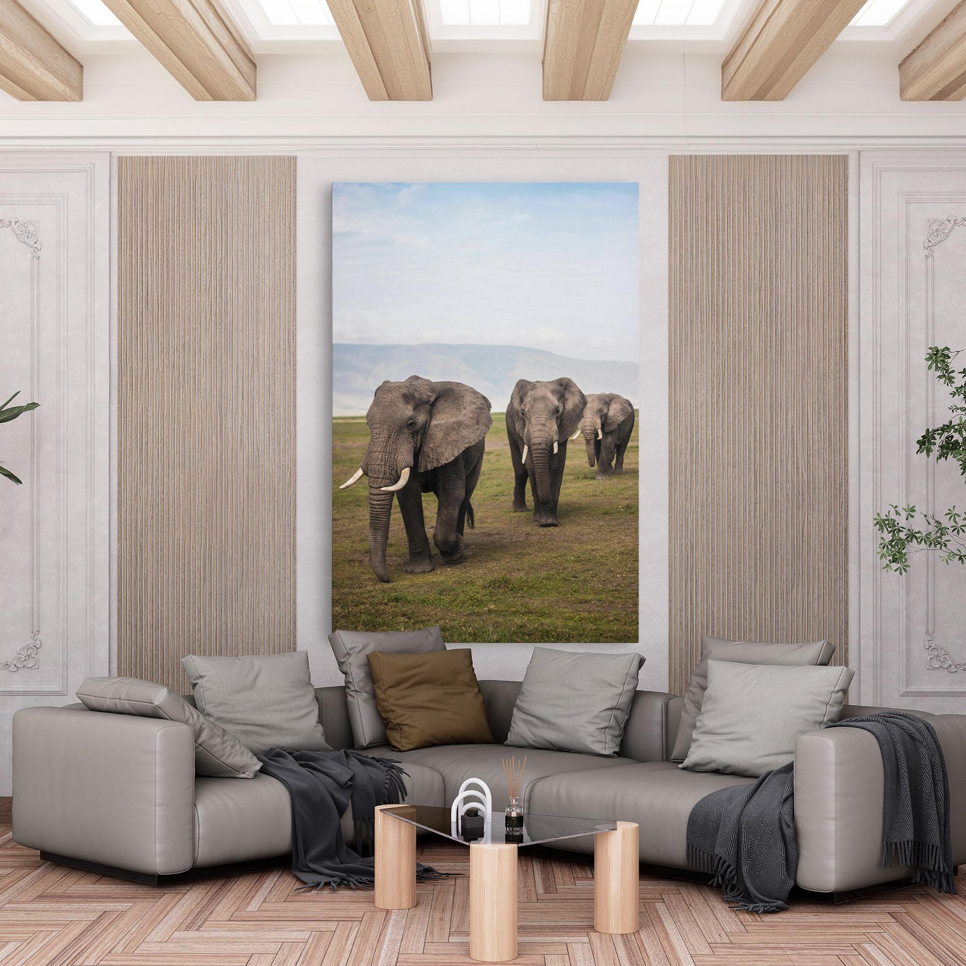 Tablou Canvas Elephant Landscape mockup 6