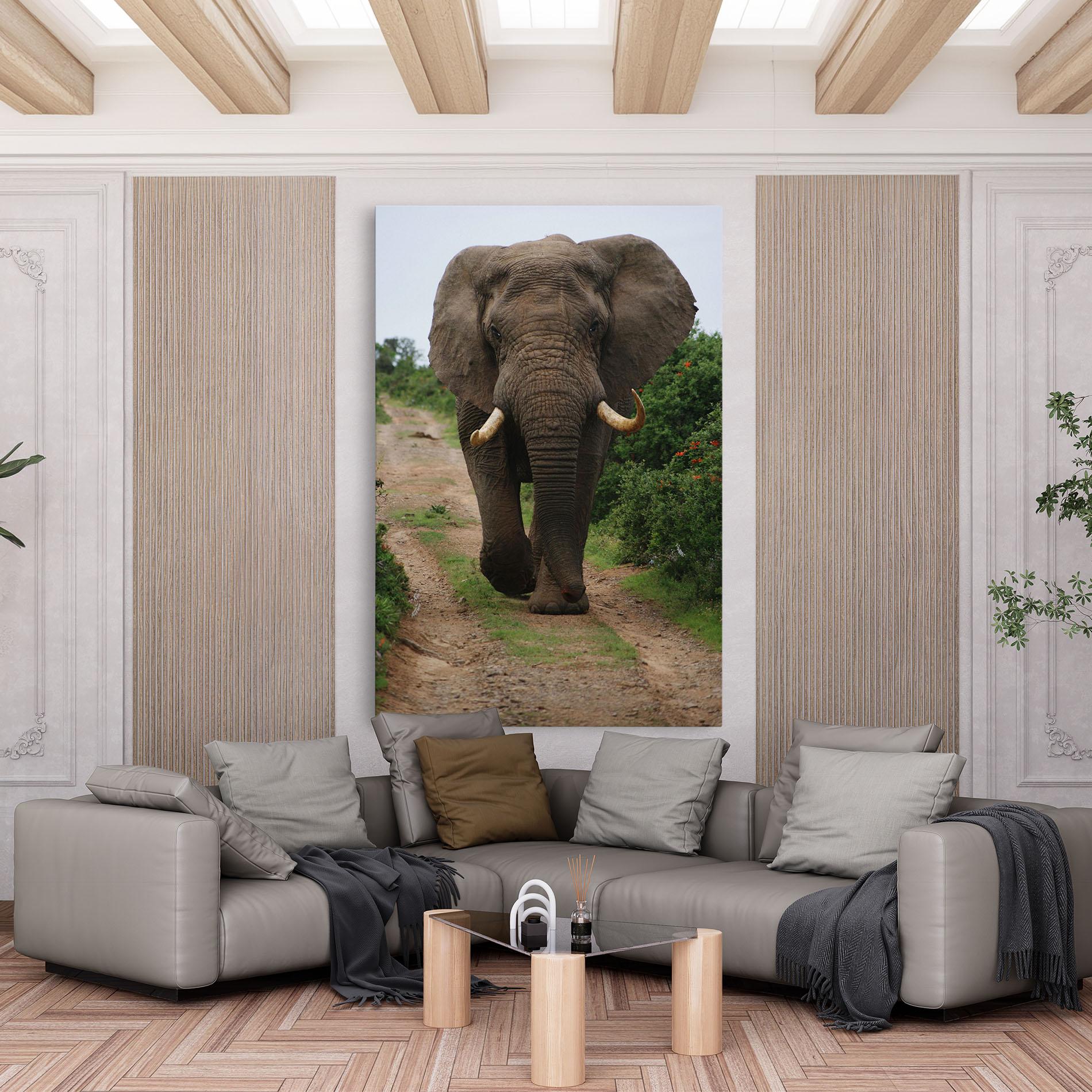 Tablou Canvas Elephant Safari mockup 6