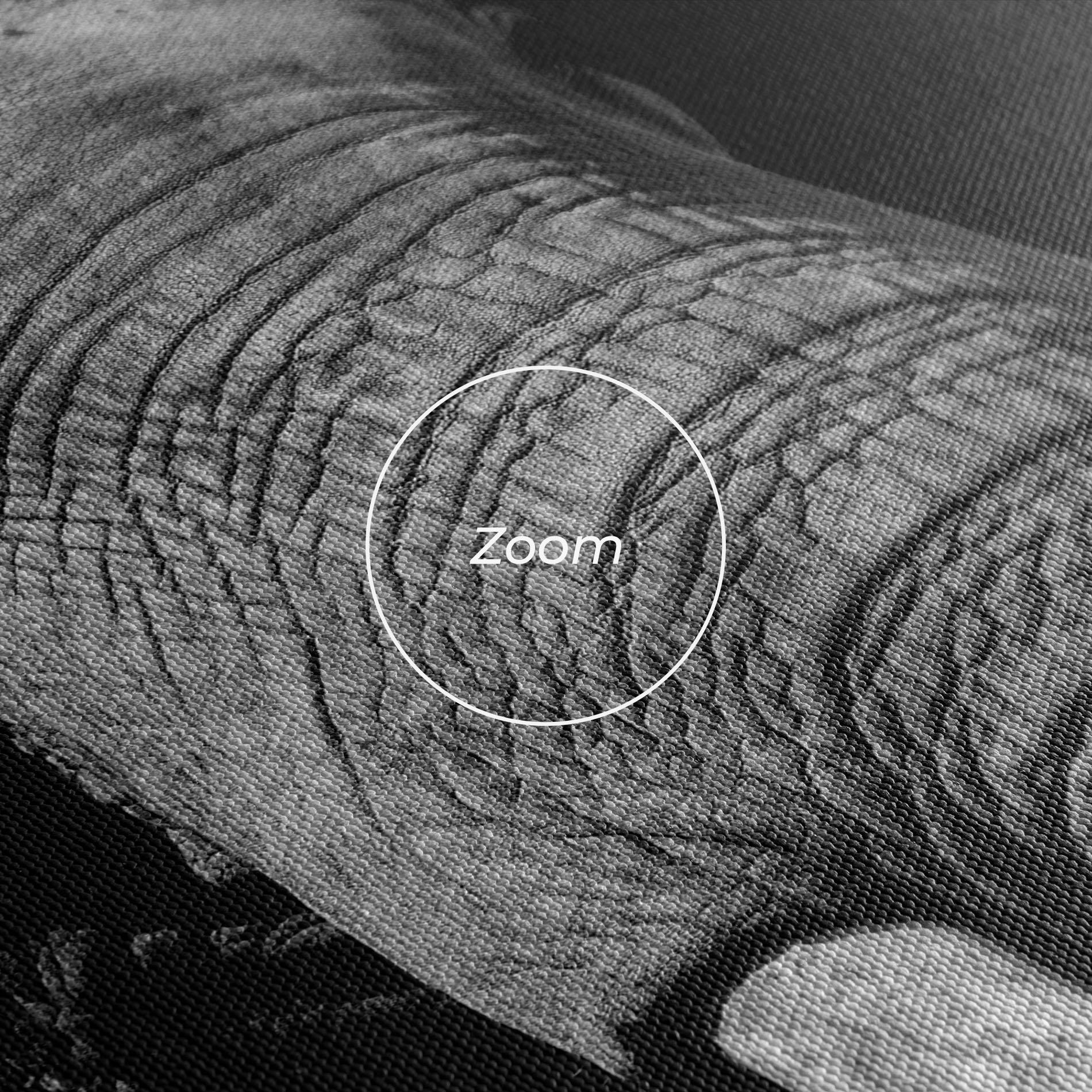 Tablou Canvas Shadow Elephant mockup 3