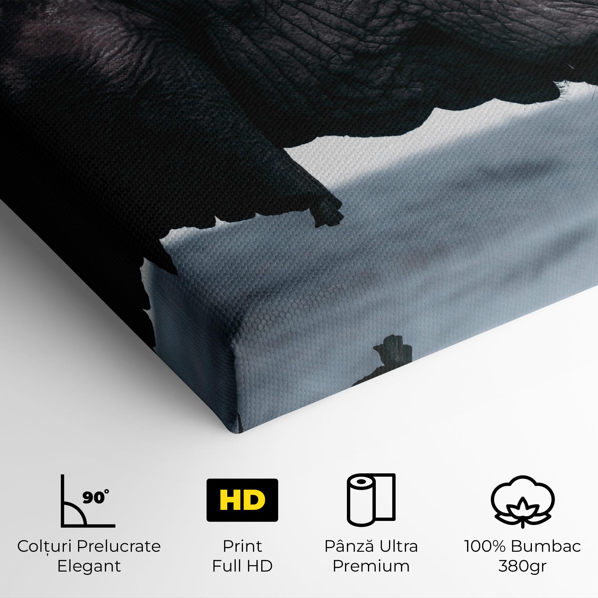 Tablou Canvas Close Grey Eelephant mockup 4