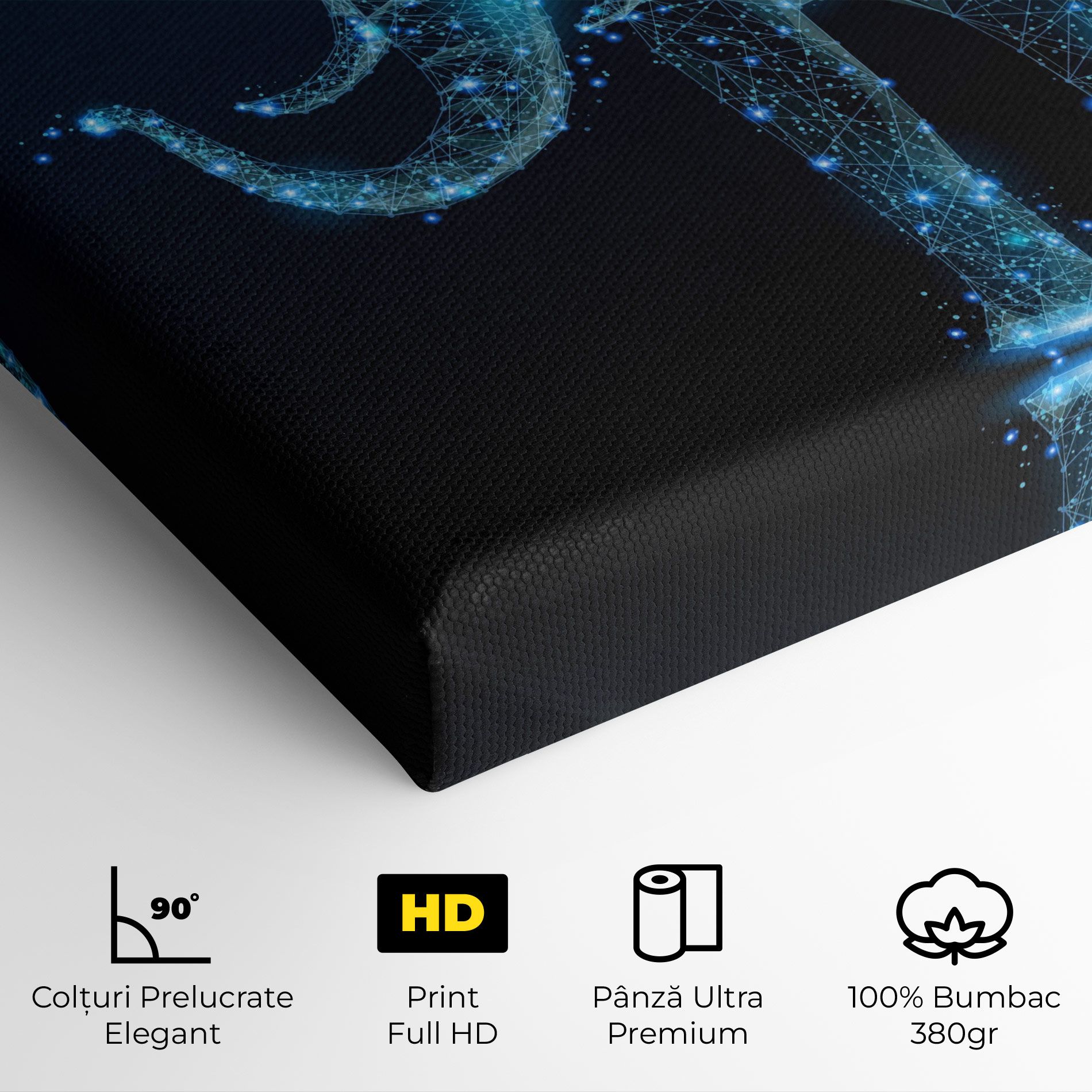 Digital Elephant mockup 4