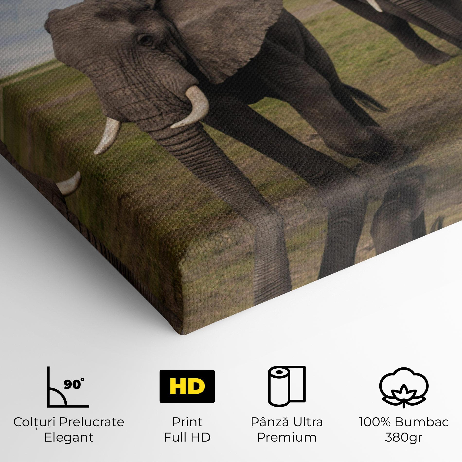 Tablou Canvas Elephant Landscape mockup 4