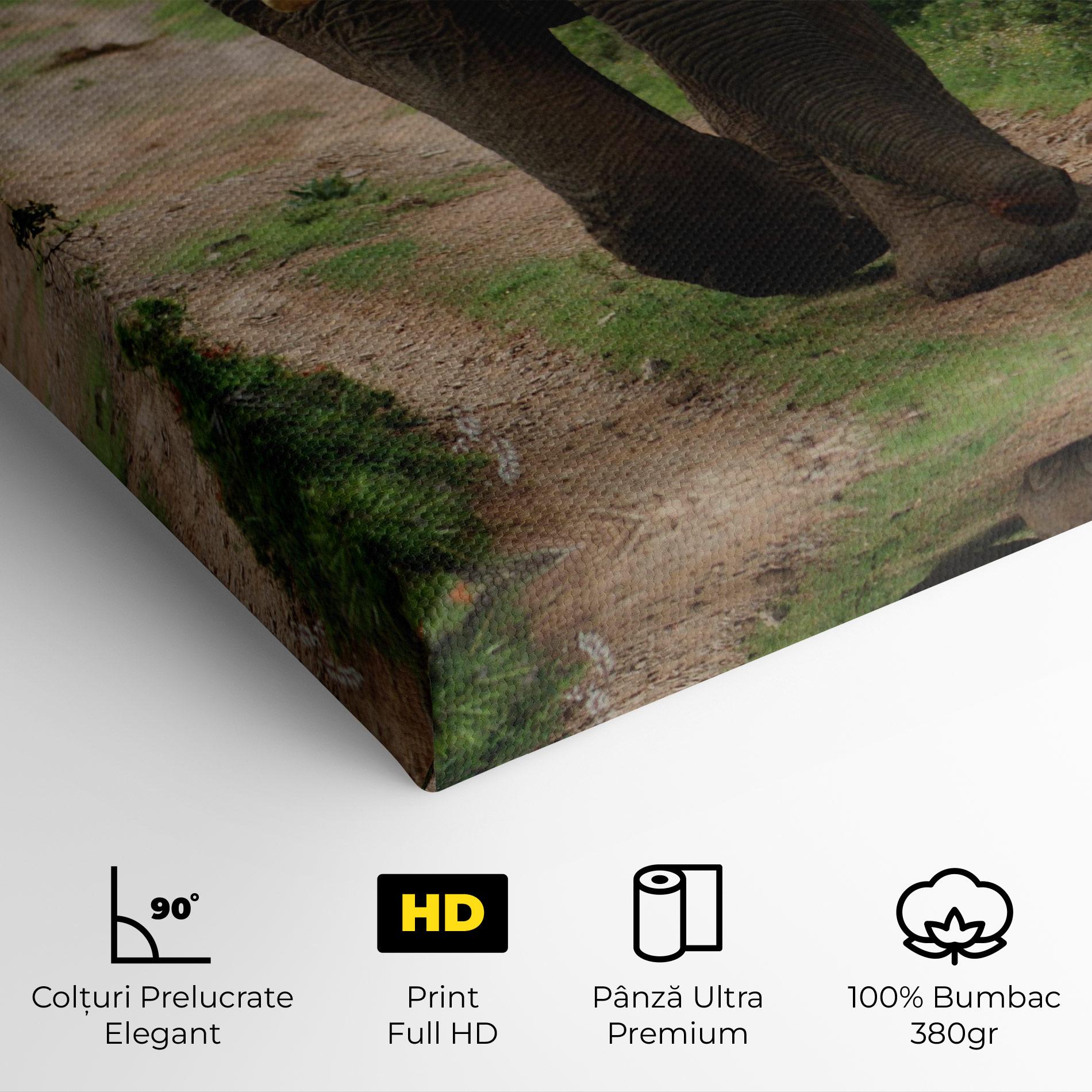 Tablou Canvas Elephant Safari mockup 4