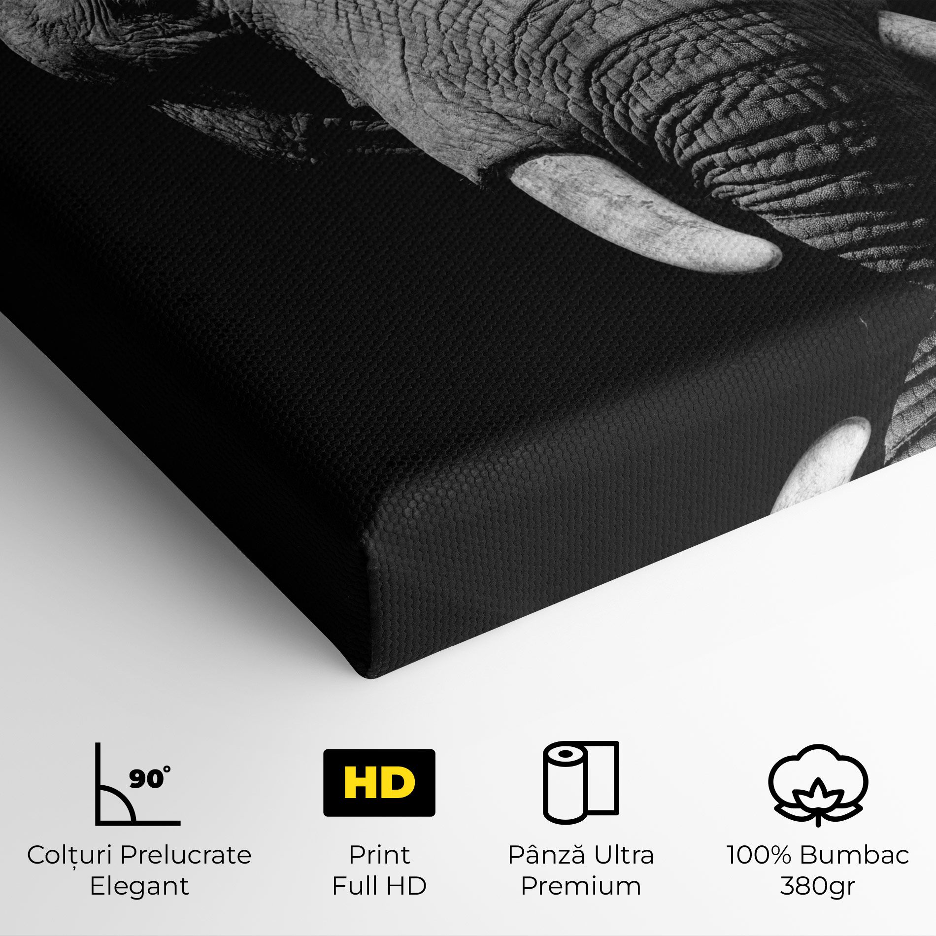 Shadow Elephant mockup 4