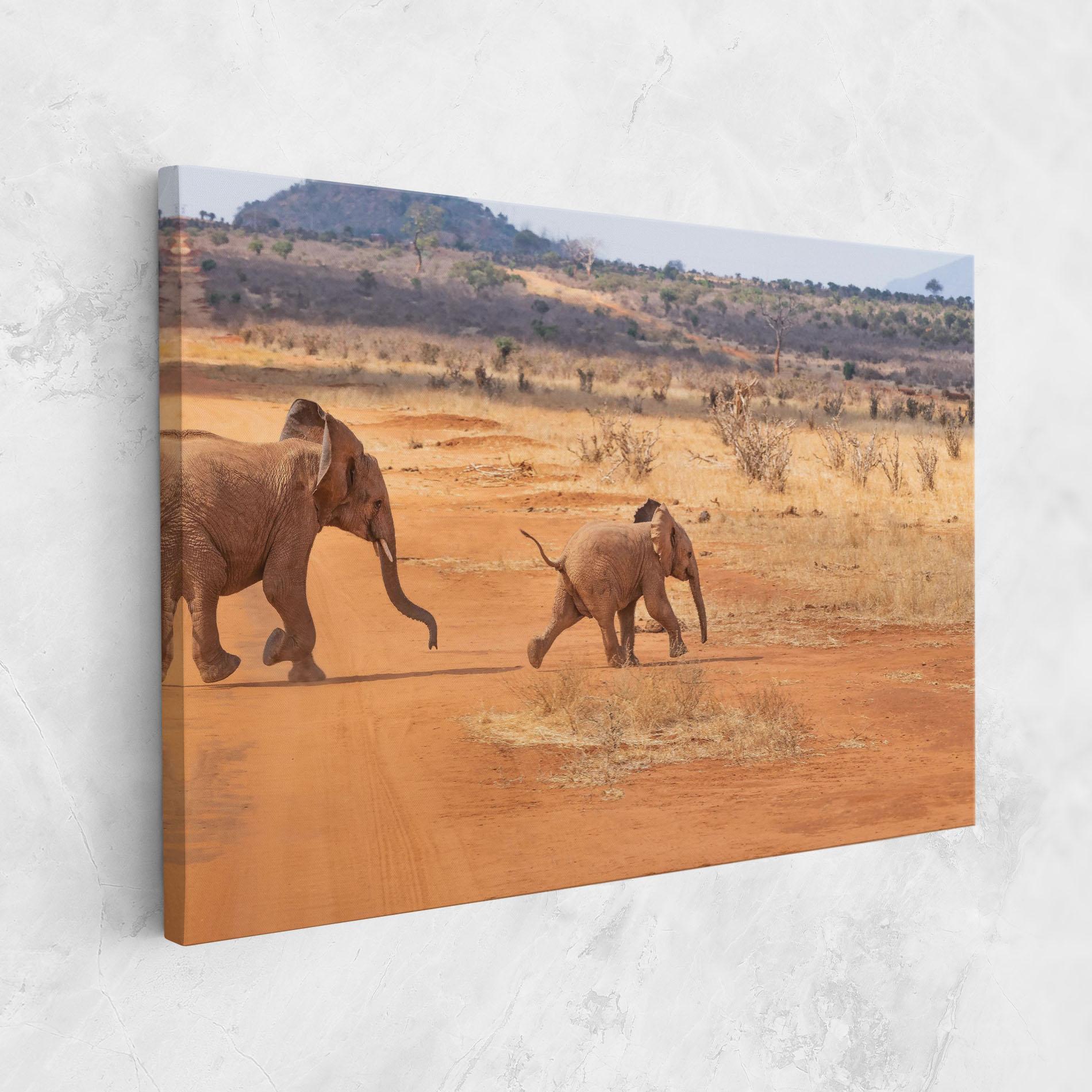 Tablou Canvas Desert Safari mockup 1