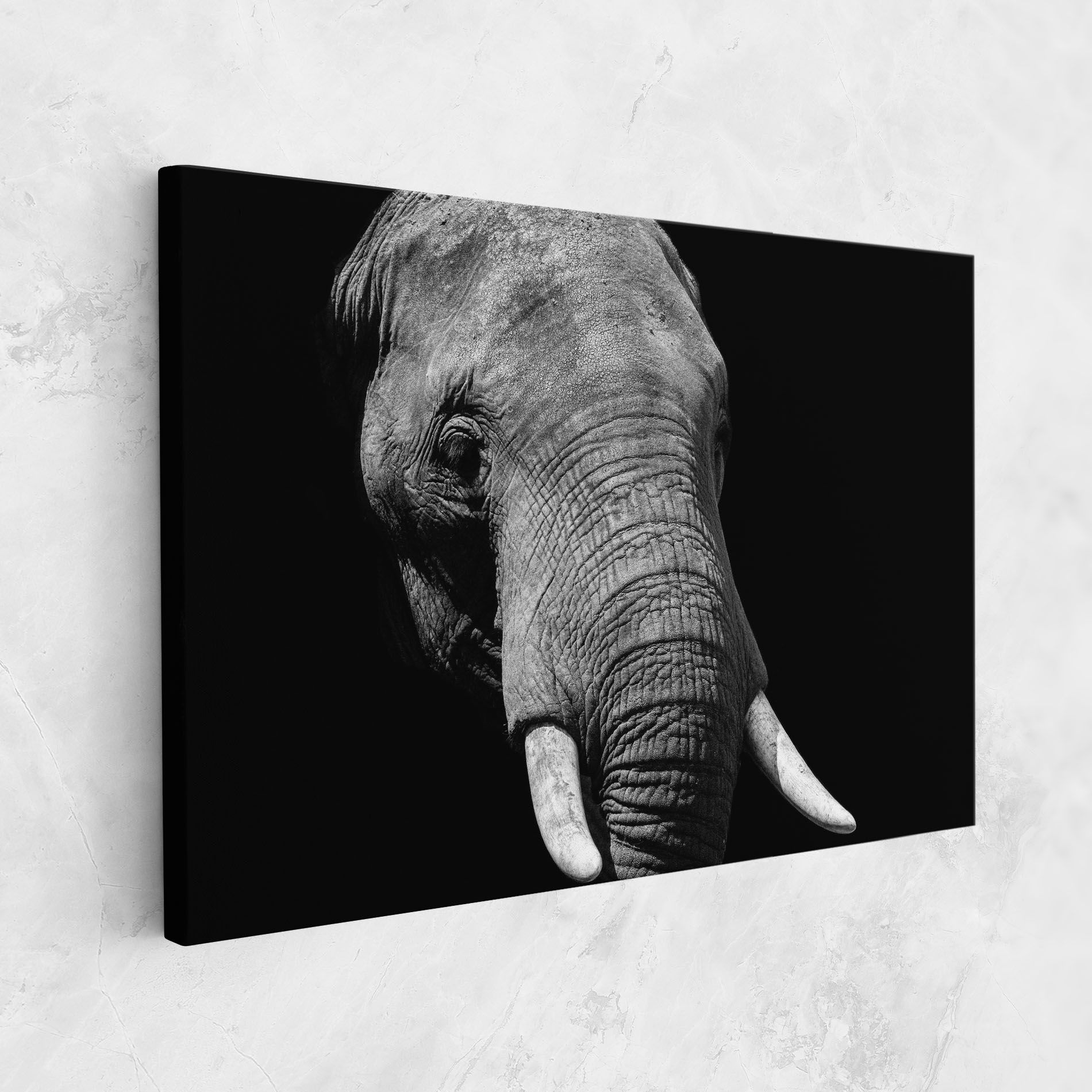 Shadow Elephant mockup 1