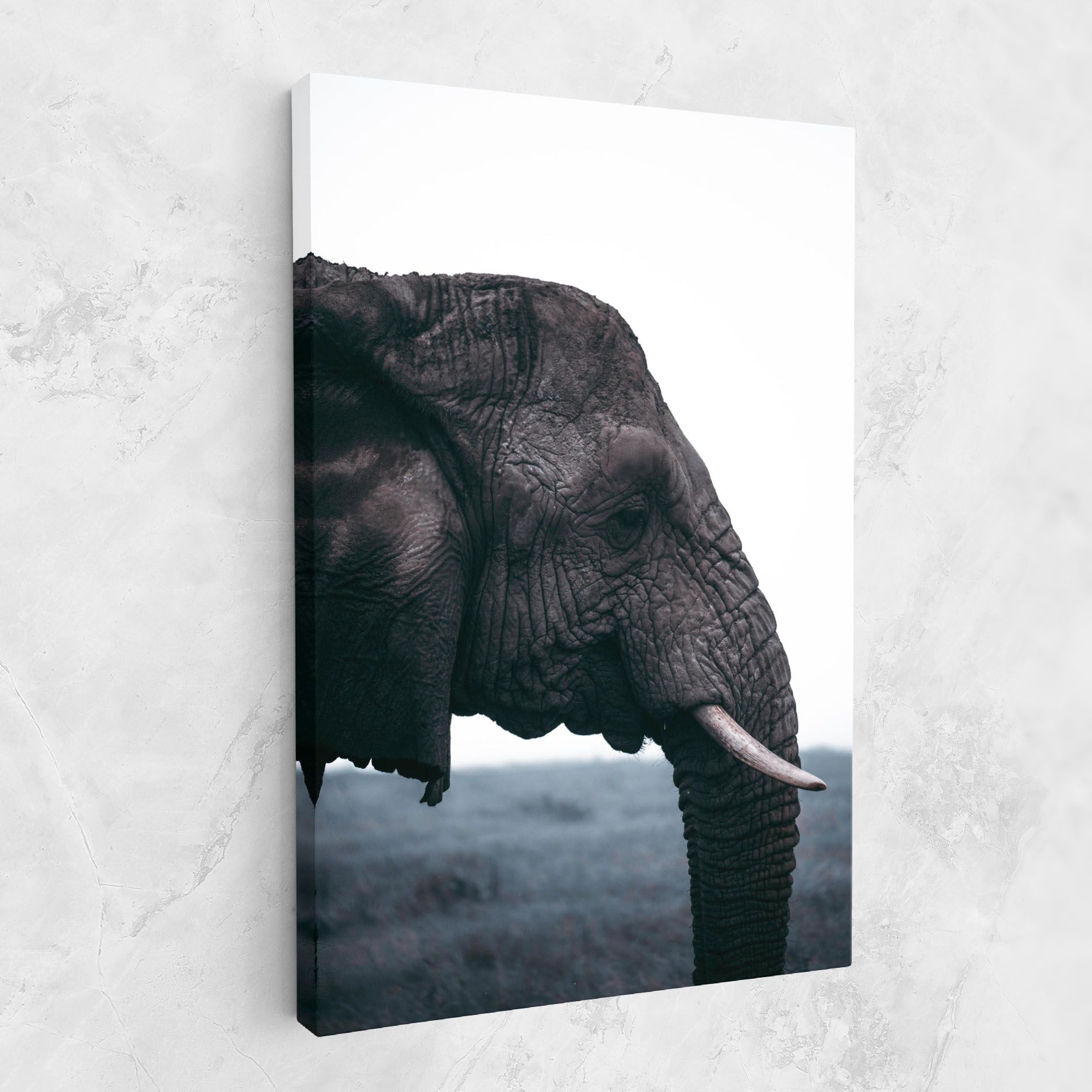 Close Grey Eelephant mockup 1