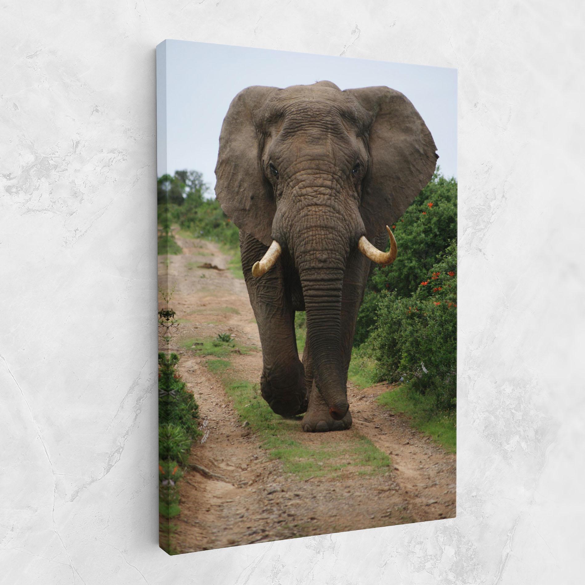Tablou Canvas Elephant Safari mockup 1