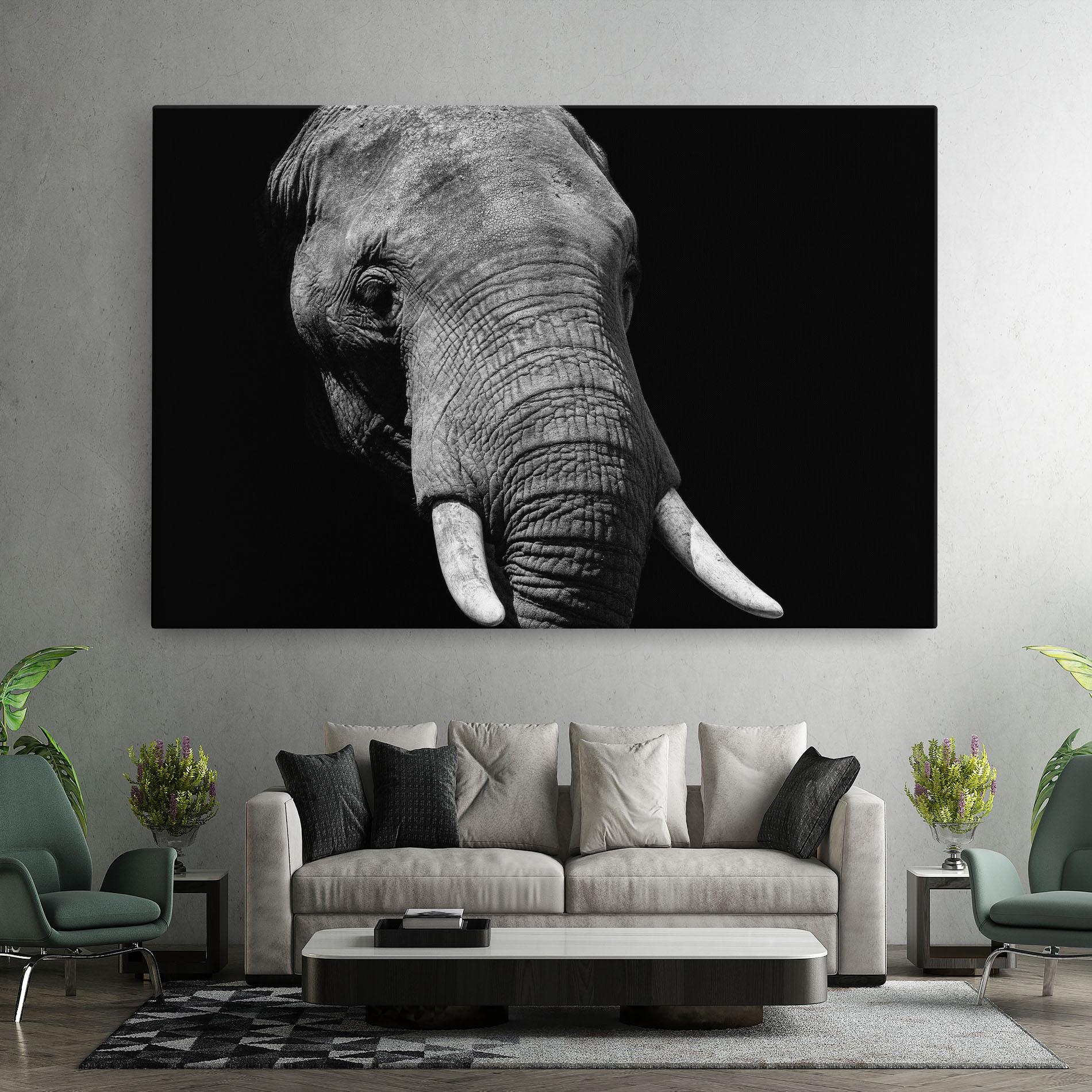 Tablou Canvas Shadow Elephant mockup 7