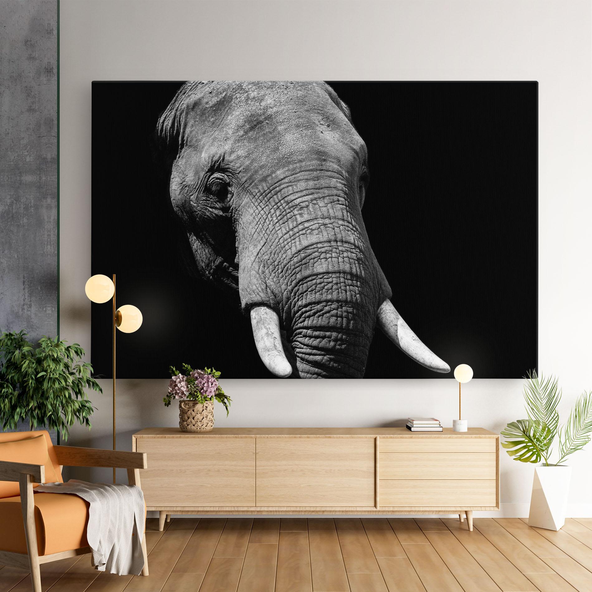 Tablou Canvas Shadow Elephant mockup 9
