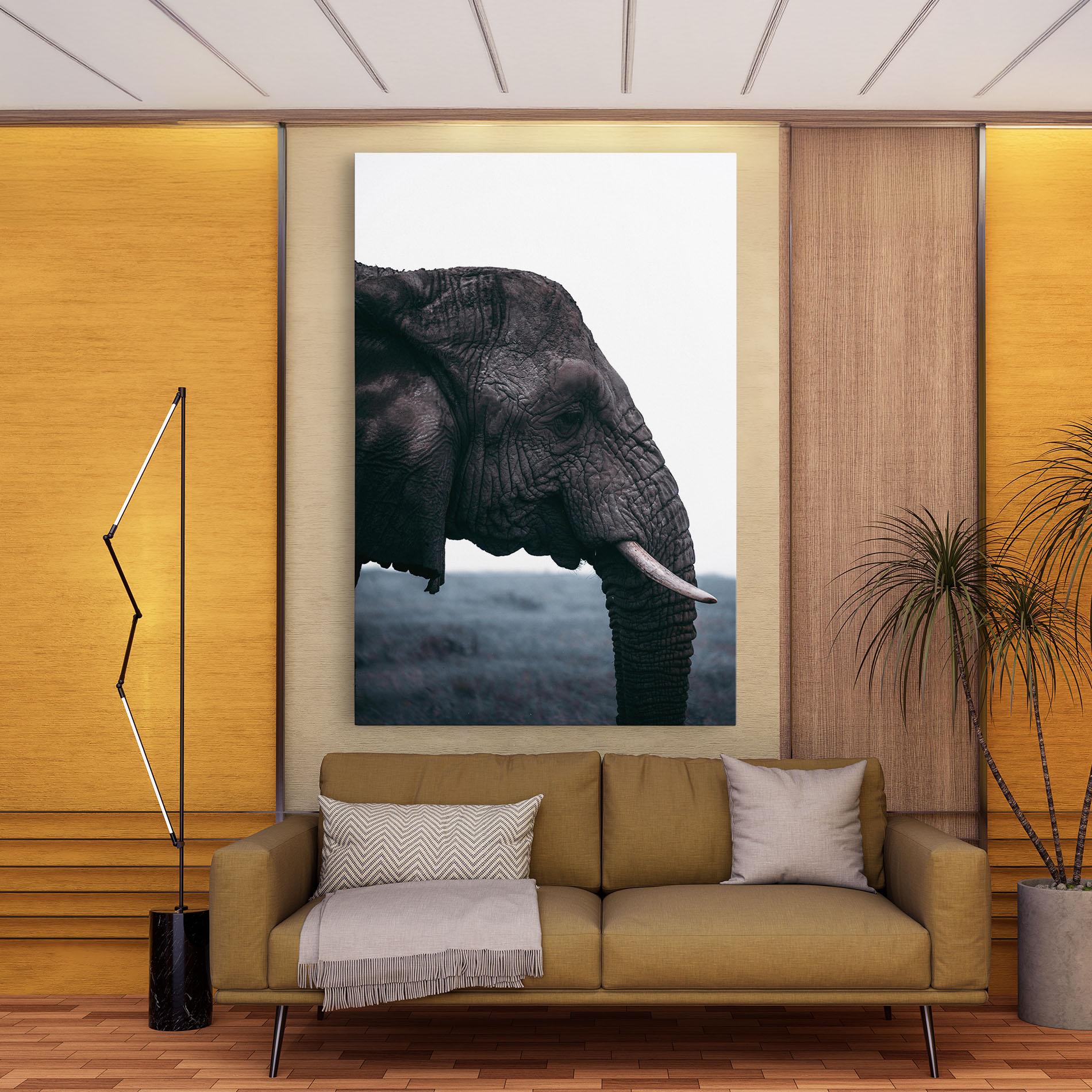 Tablou Canvas Close Grey Eelephant mockup 9