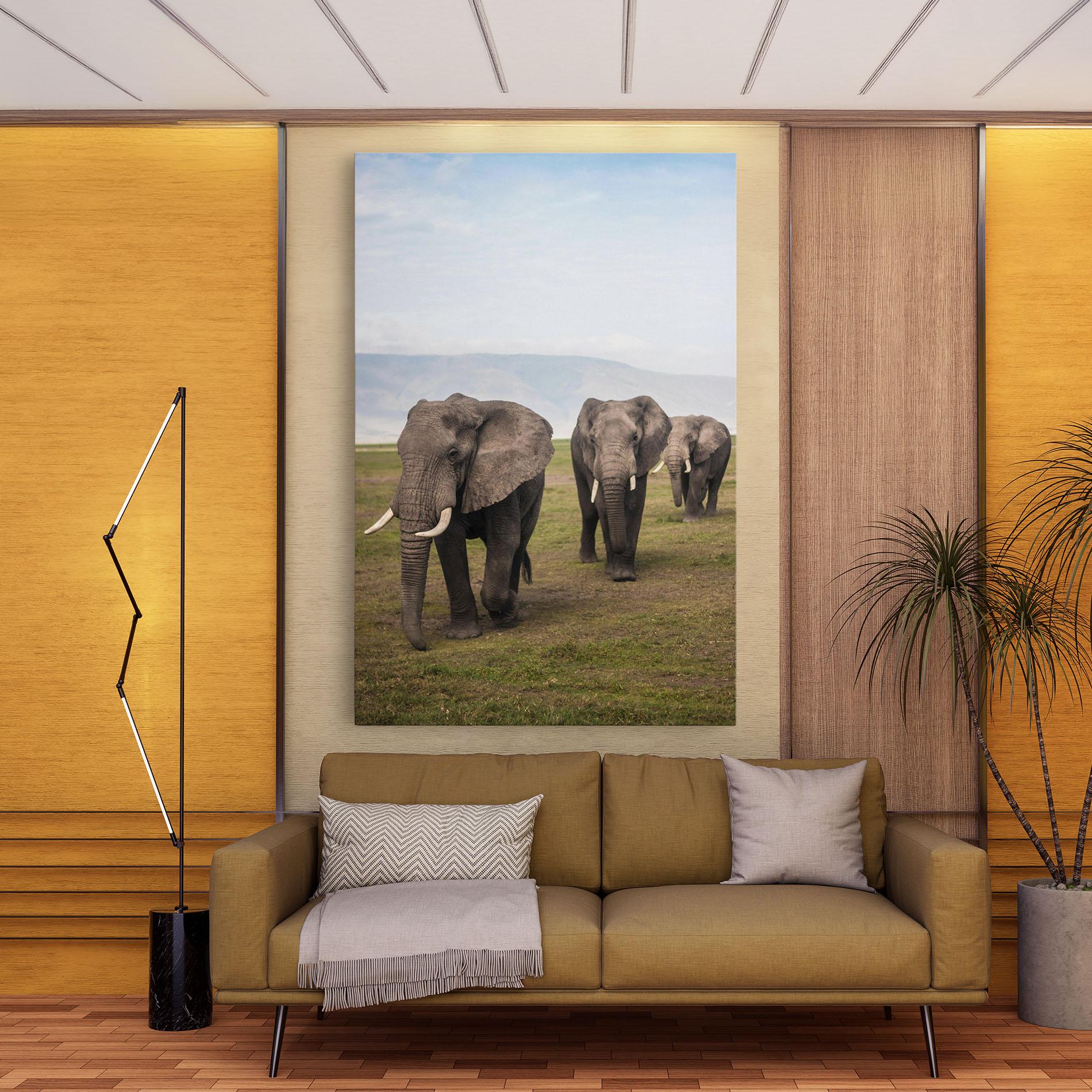 Tablou Canvas Elephant Landscape mockup 9