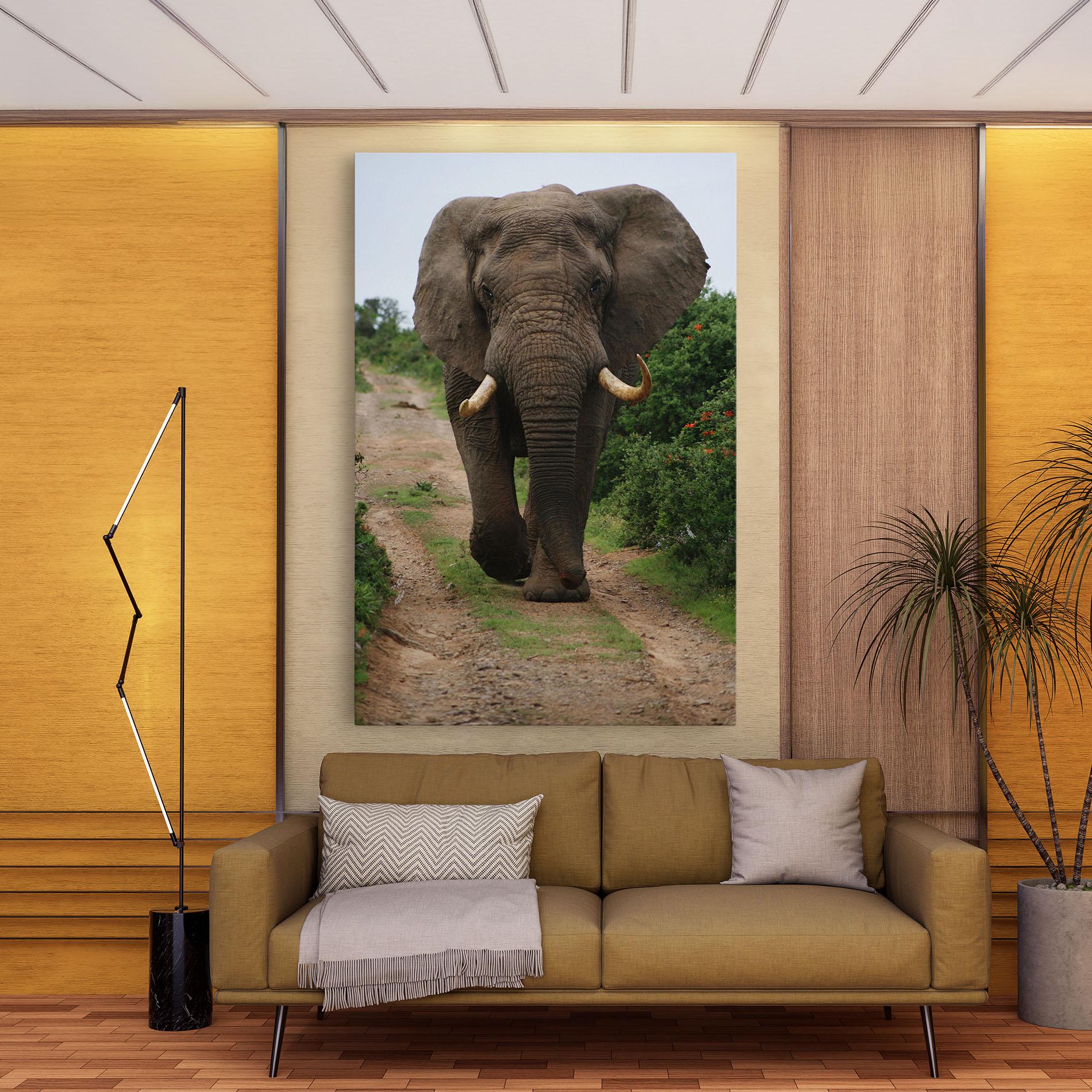 Tablou Canvas Elephant Safari mockup 9